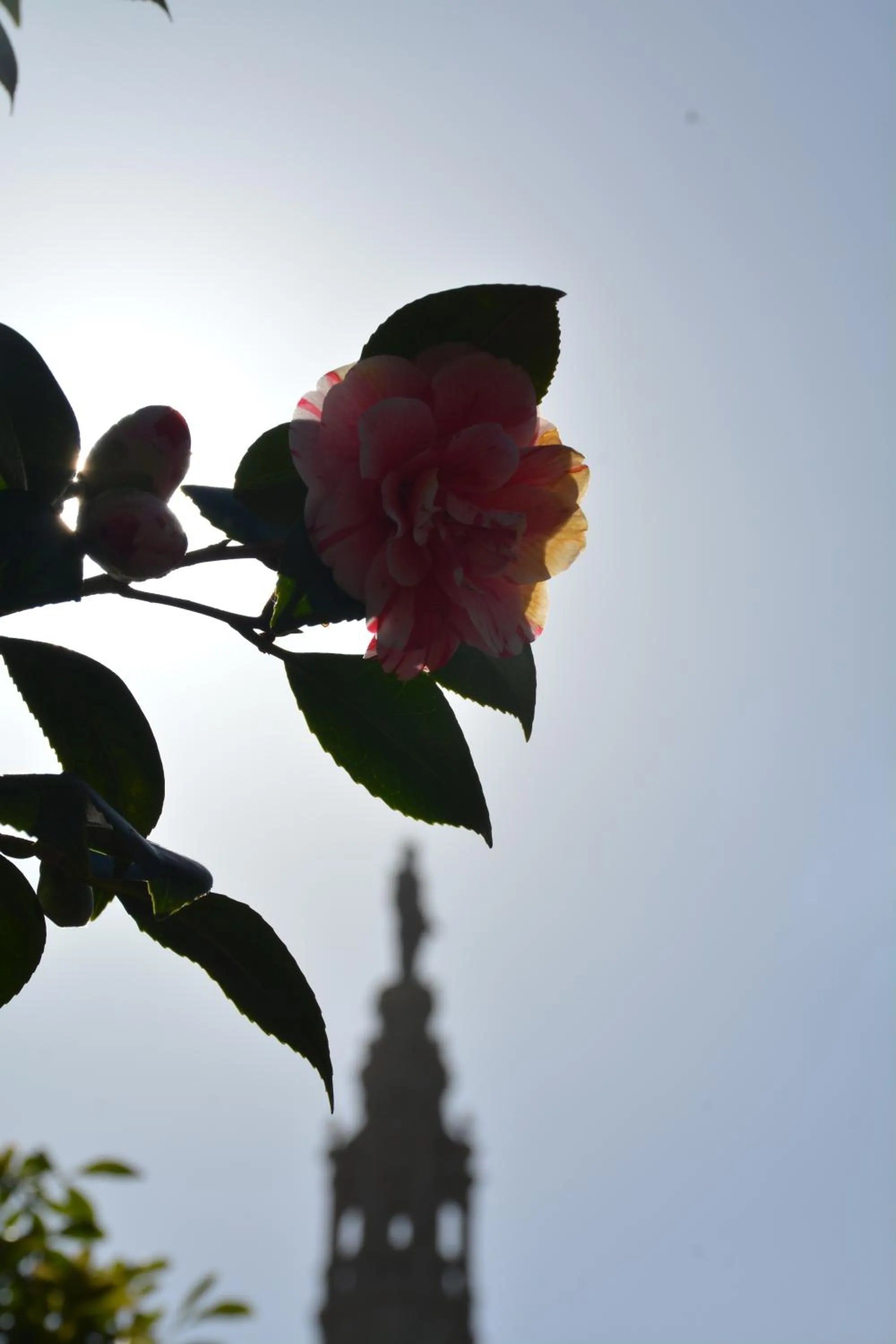 Landmark view in L'Auberg'ine - Maison Glenn Anna