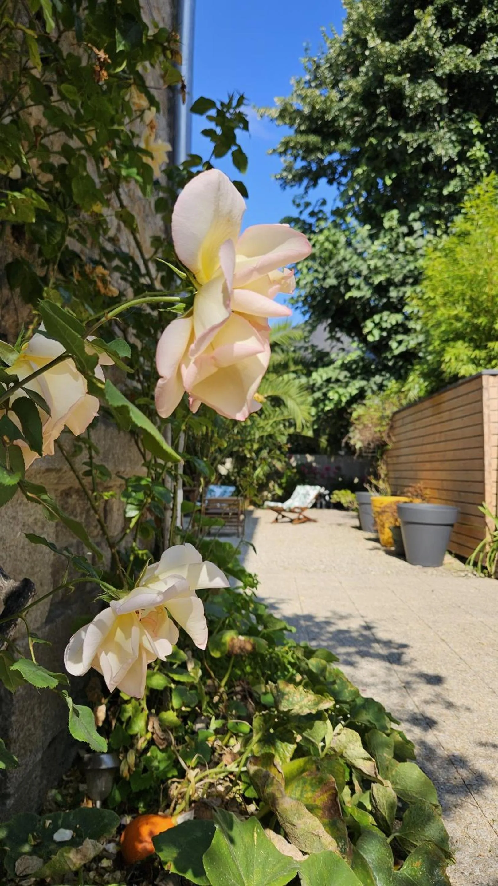 Other in La Villa Côté Cour