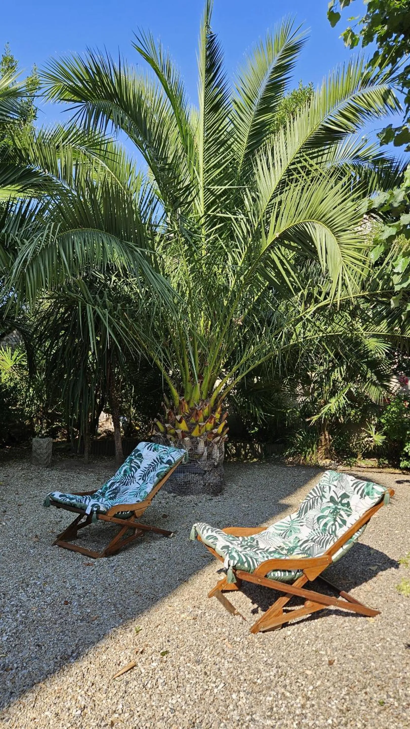 Garden in La Villa Côté Cour