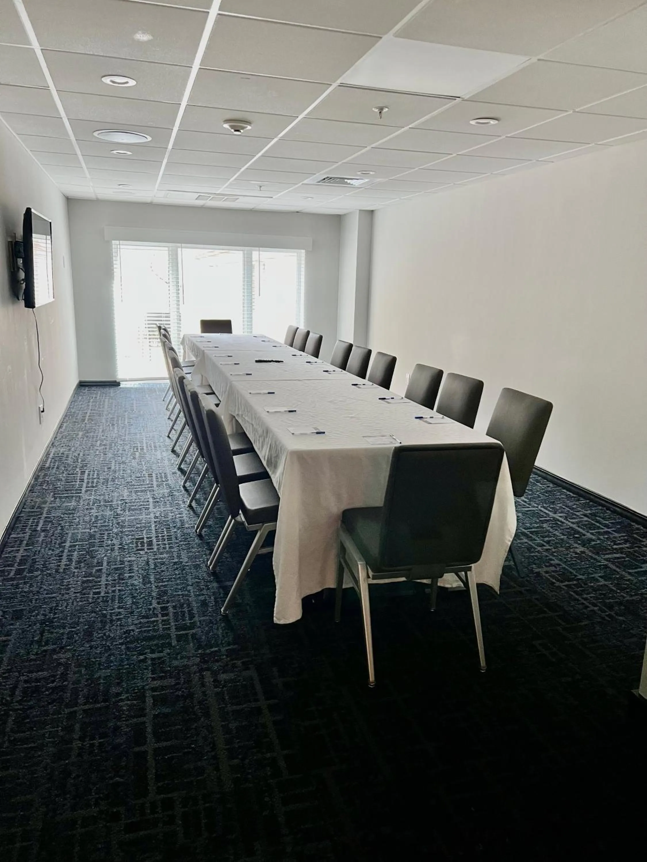 Meeting/conference room in TRYP by Wyndham Savannah
