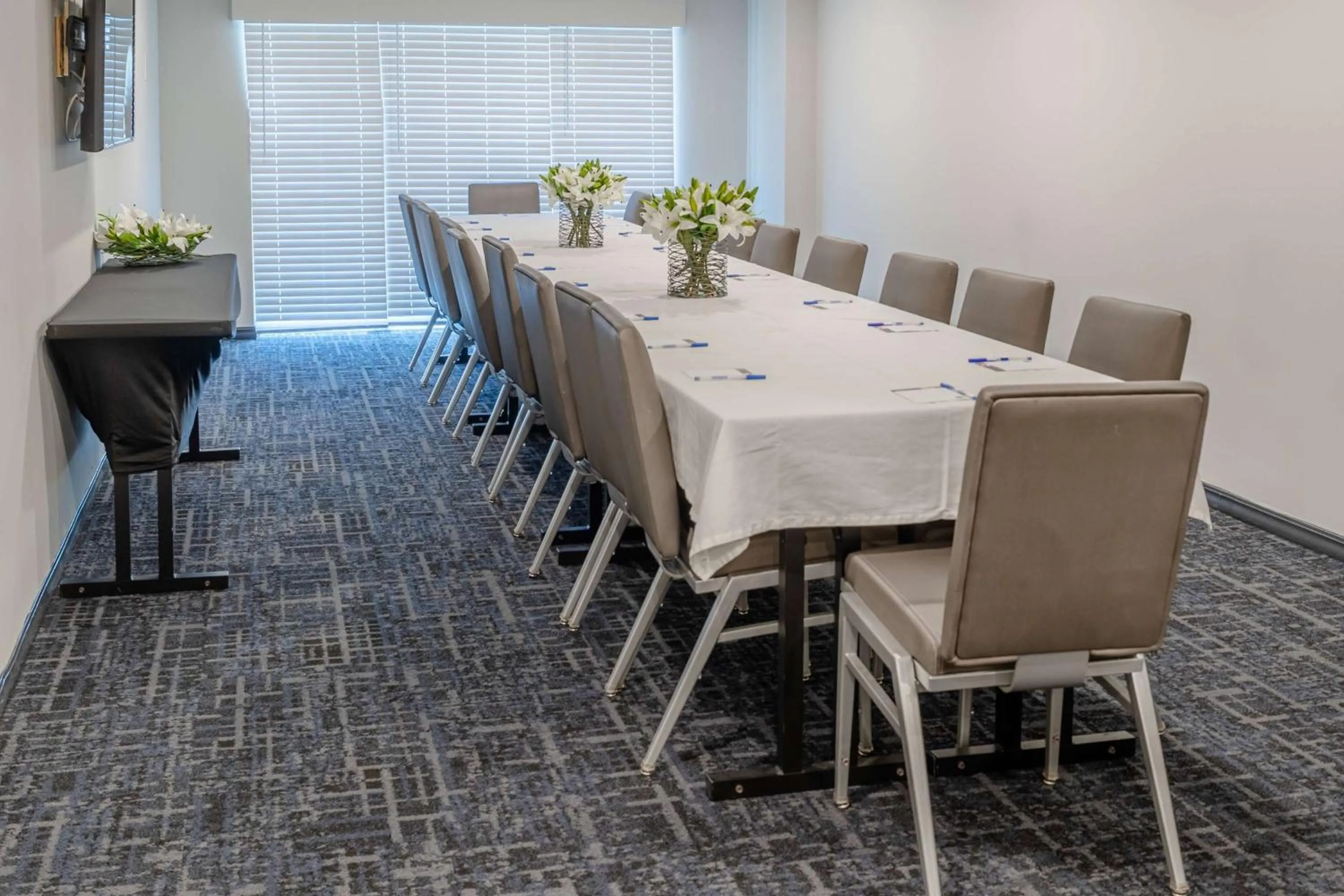 Meeting/conference room in TRYP by Wyndham Savannah