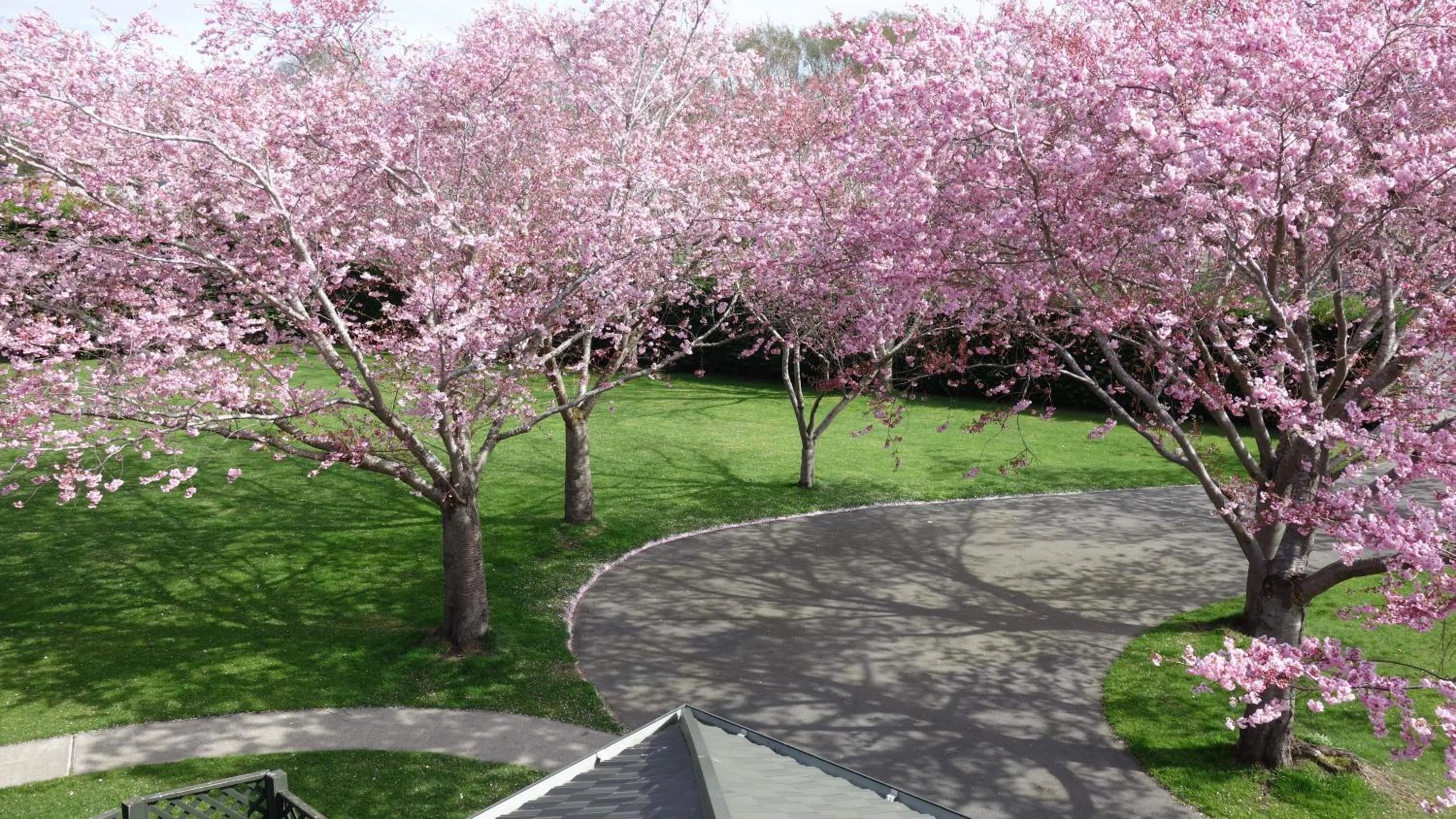 Garden in Northwood Motor Lodge