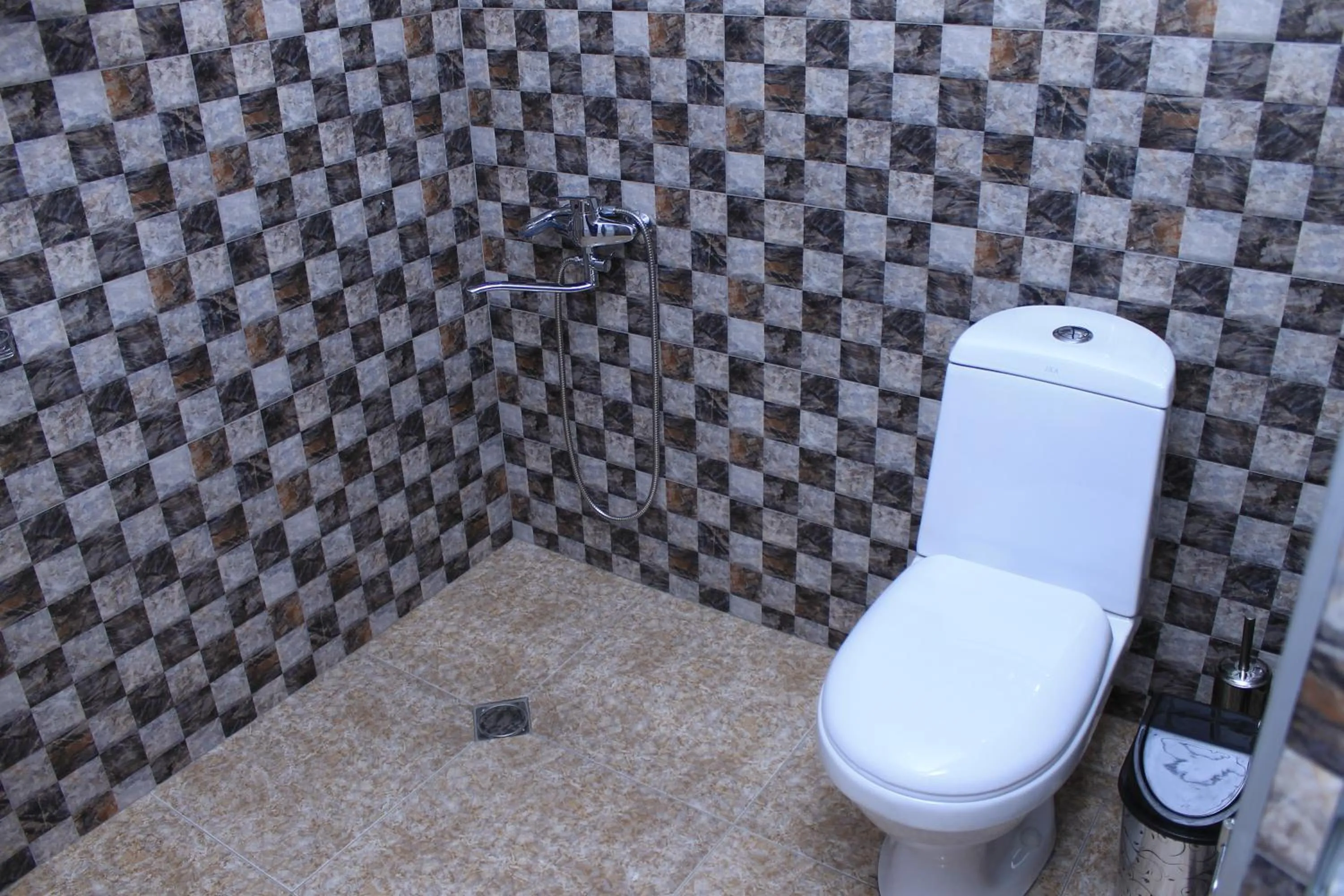 Toilet in Inn Daviti