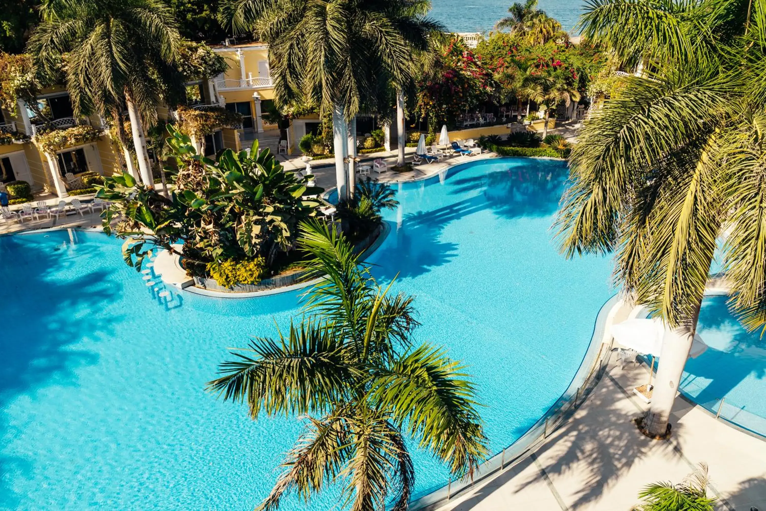 Swimming pool in Paradise Inn Beach Resort Swimming pool in Paradise Inn Beach Resort