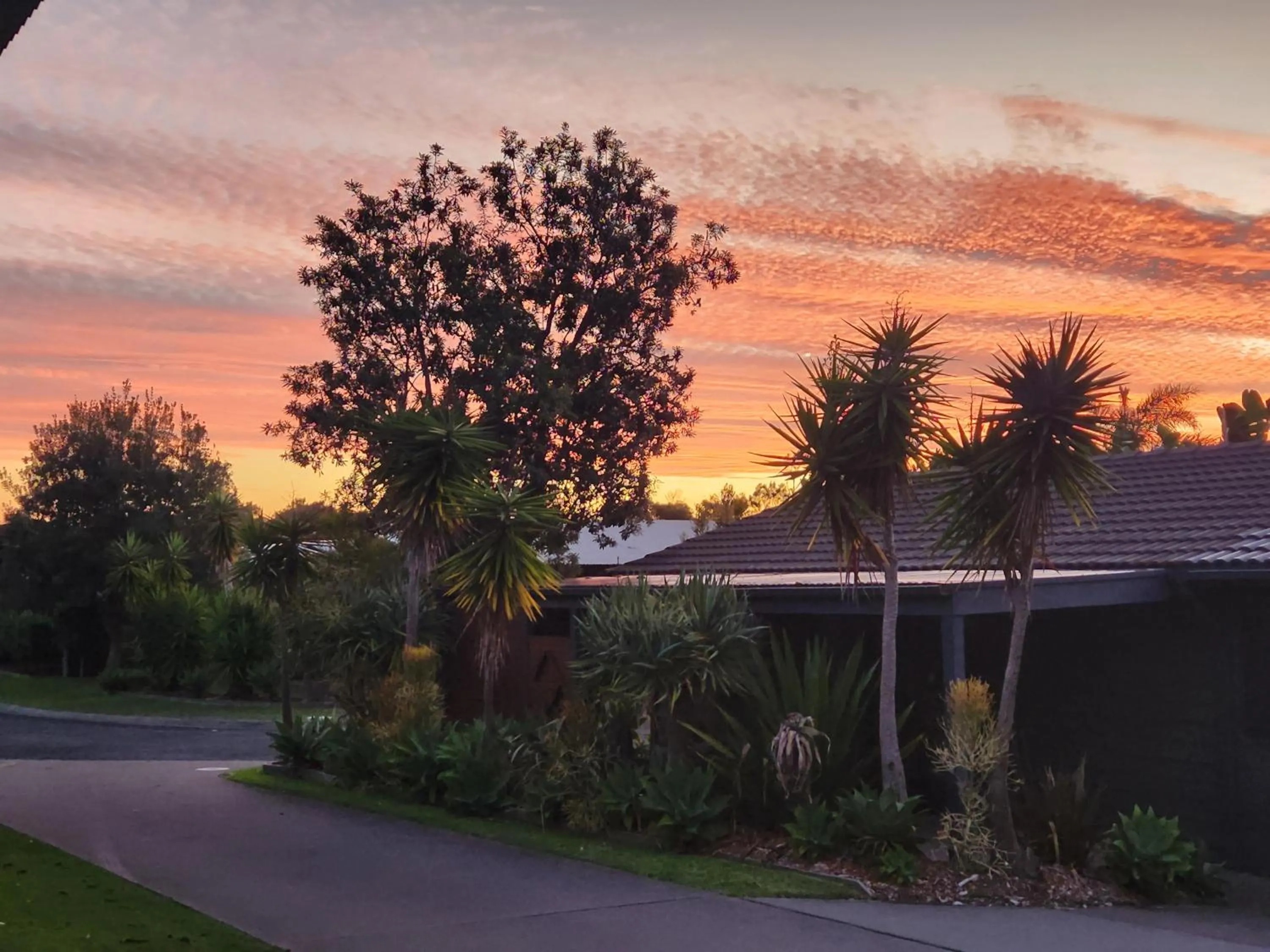 Garden in Serenity Diamond Beach