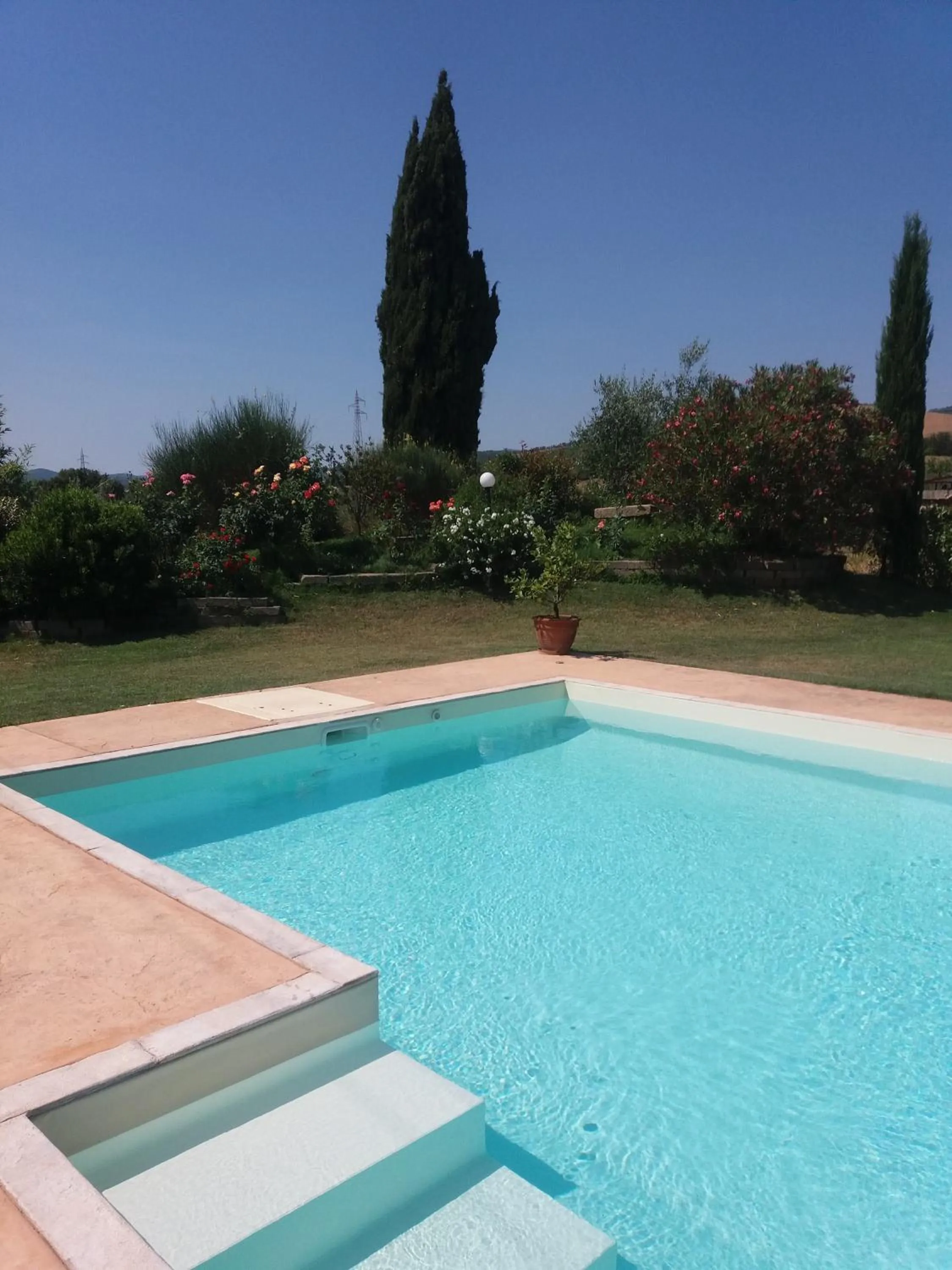 Swimming pool in Tonini House