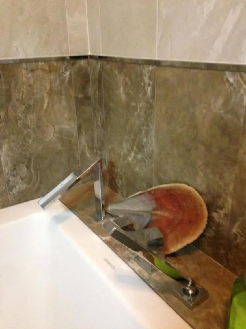 Bathroom in Tonini House