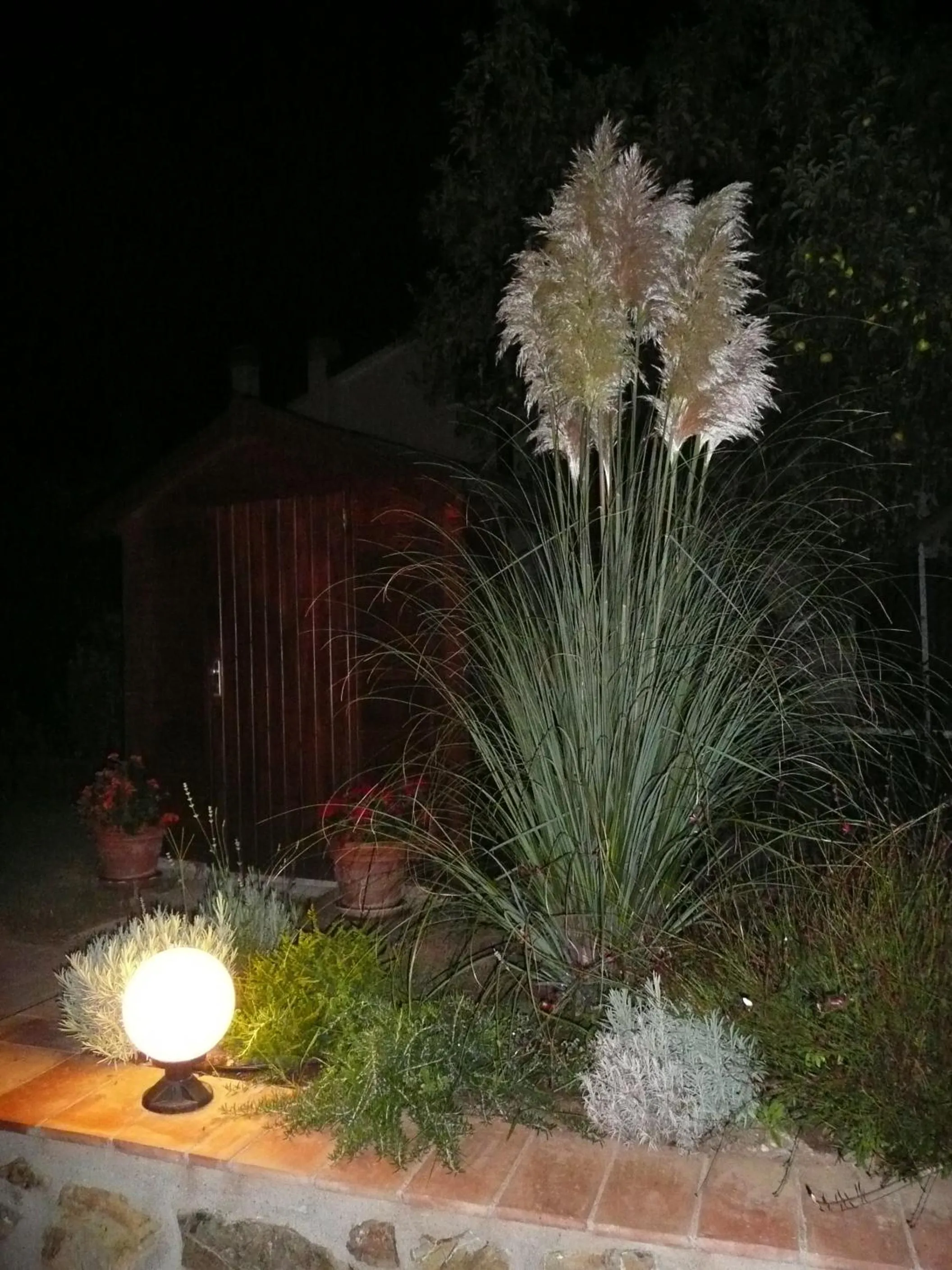 Decorative detail in Tonini House