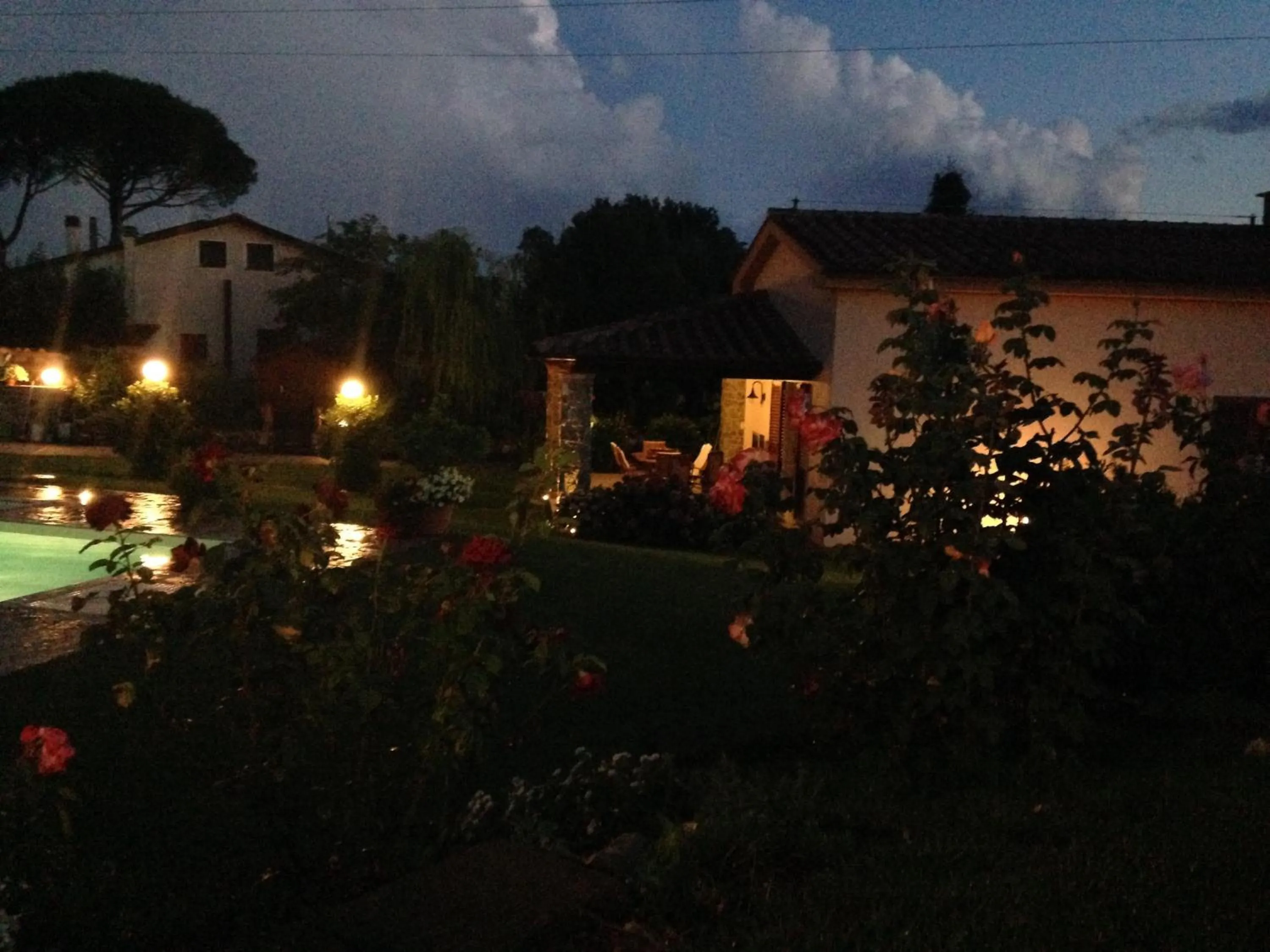 Garden view in Tonini House
