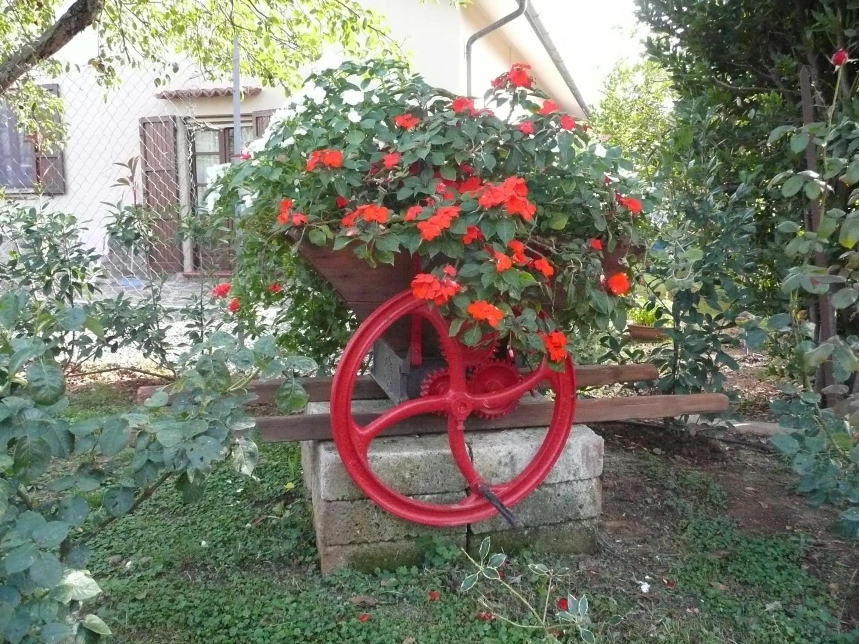 Garden in Tonini House
