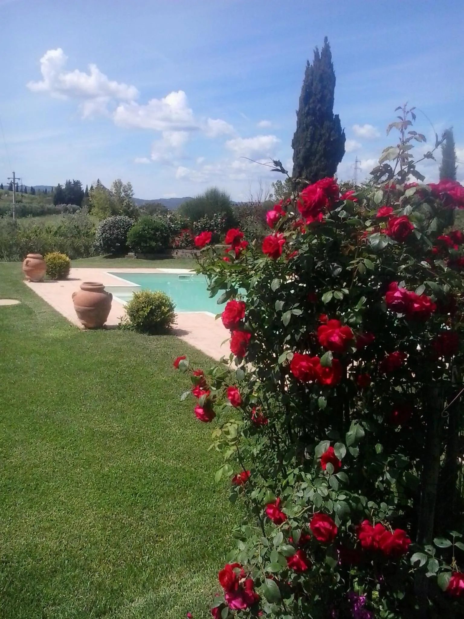 Garden in Tonini House