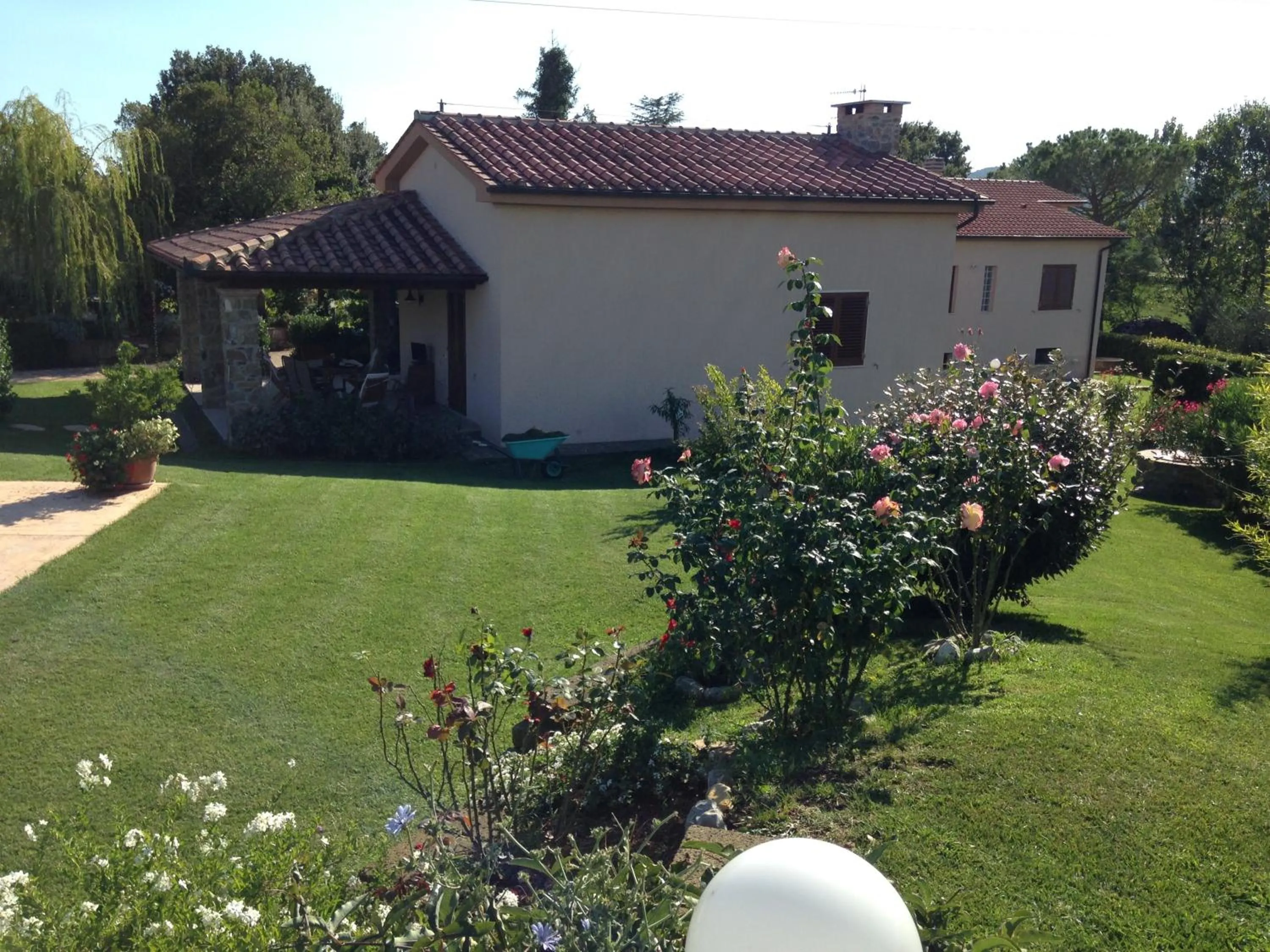Garden in Tonini House