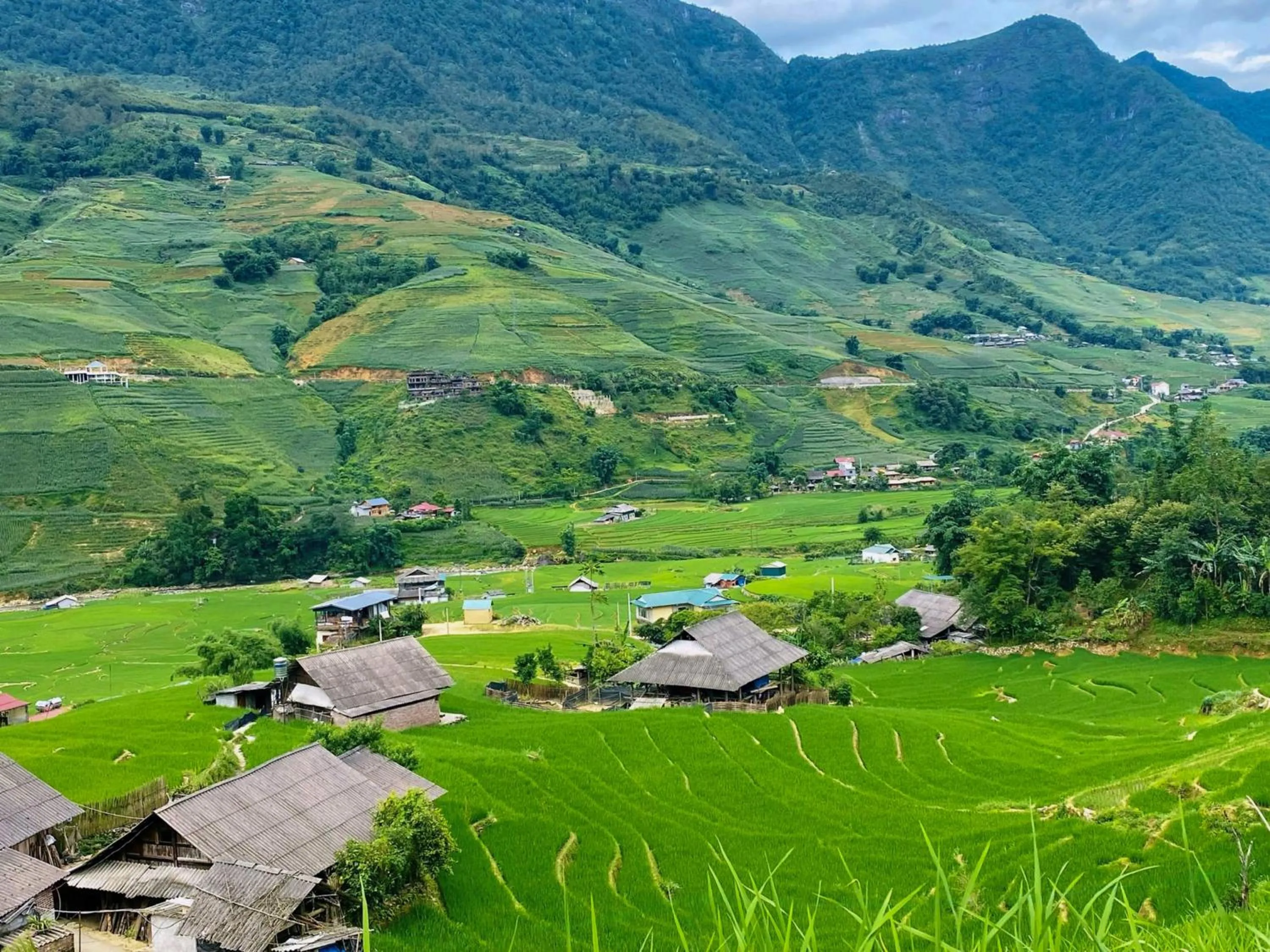 Natural landscape in BB Sapa Resort & Spa - Formerly Victoria Sapa Resort & Spa