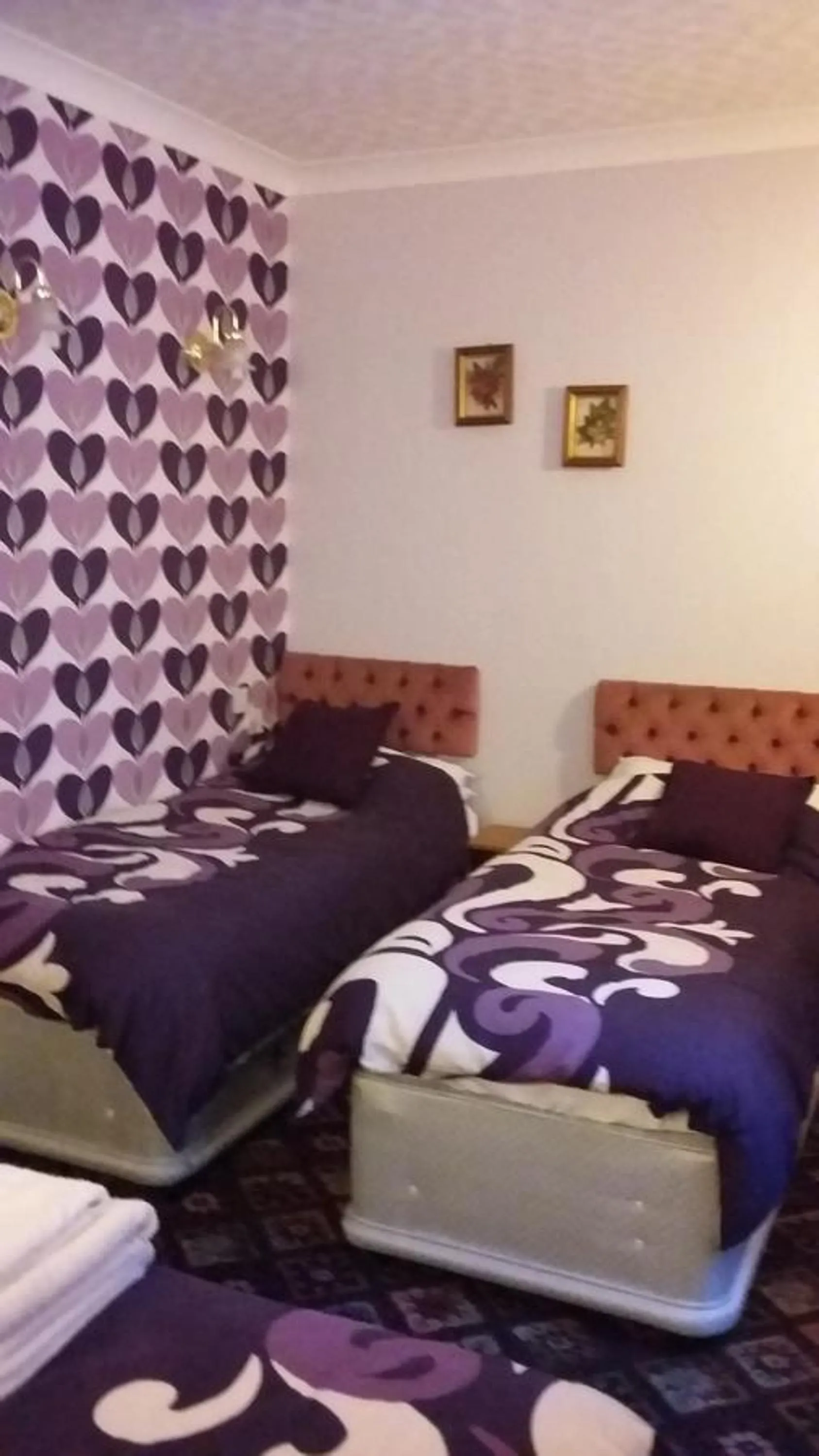 Photo of the whole room in The Trafalgar