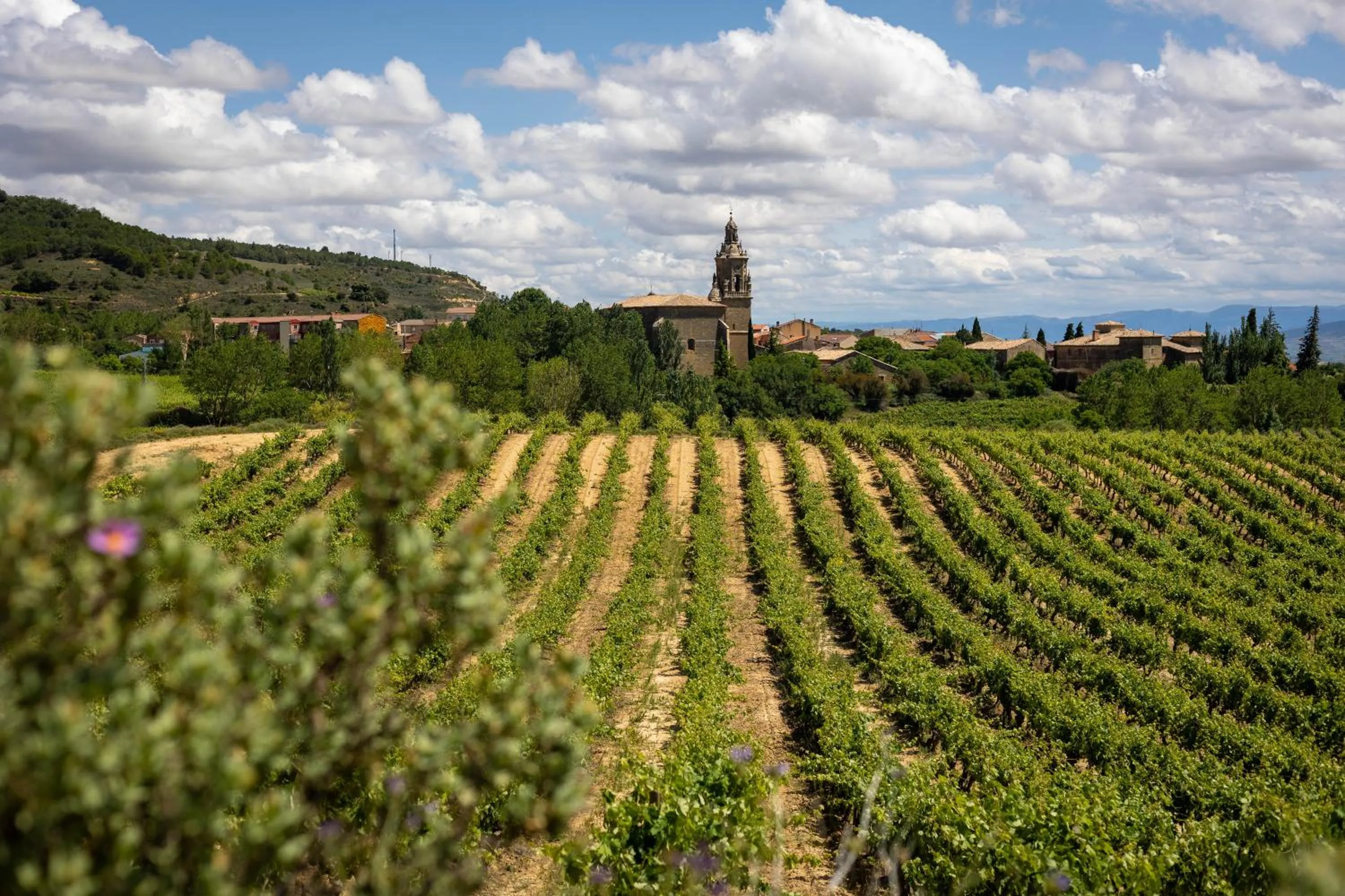Landmark view in Hotel Villa de Ábalos
