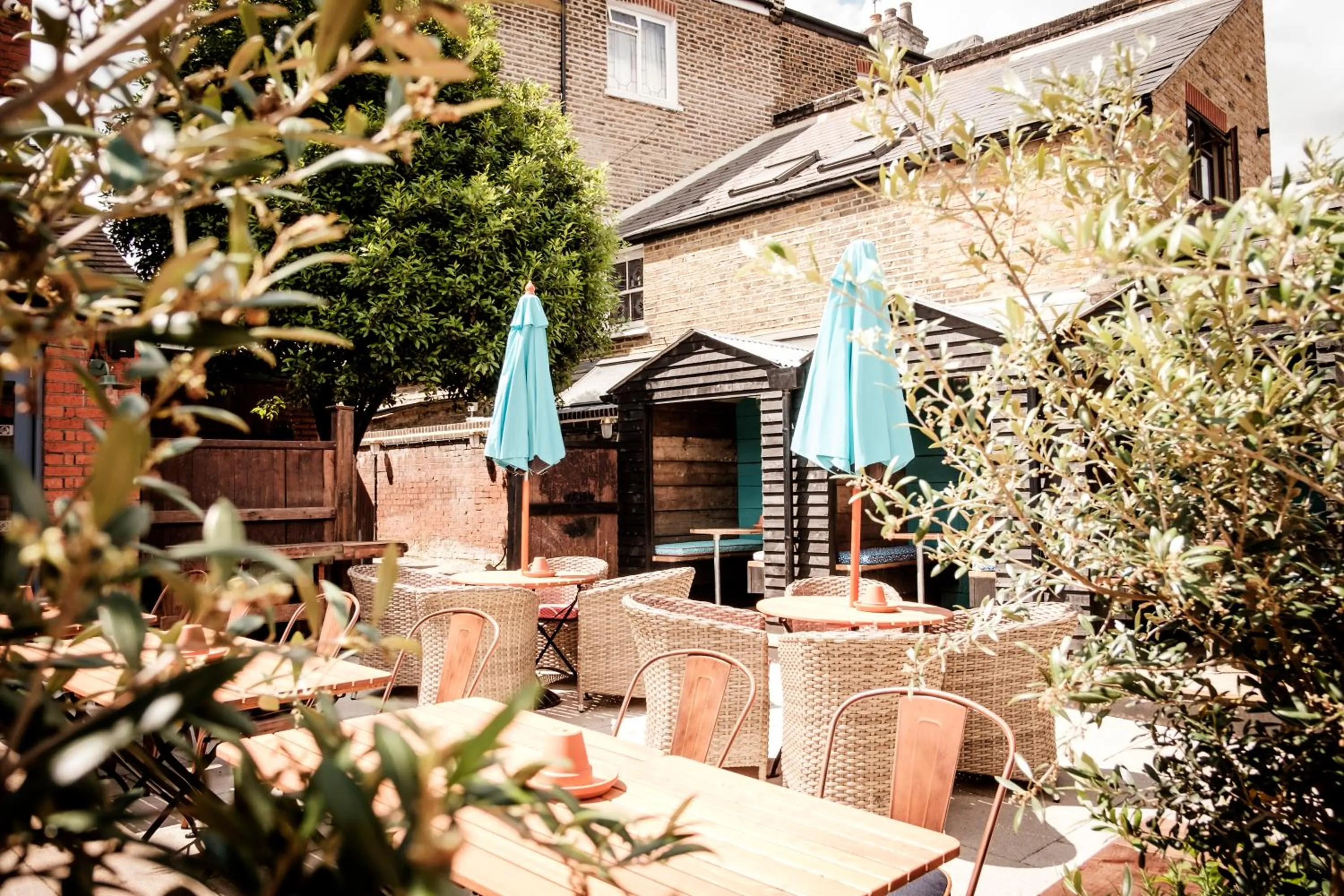 Garden in The Queen's Head