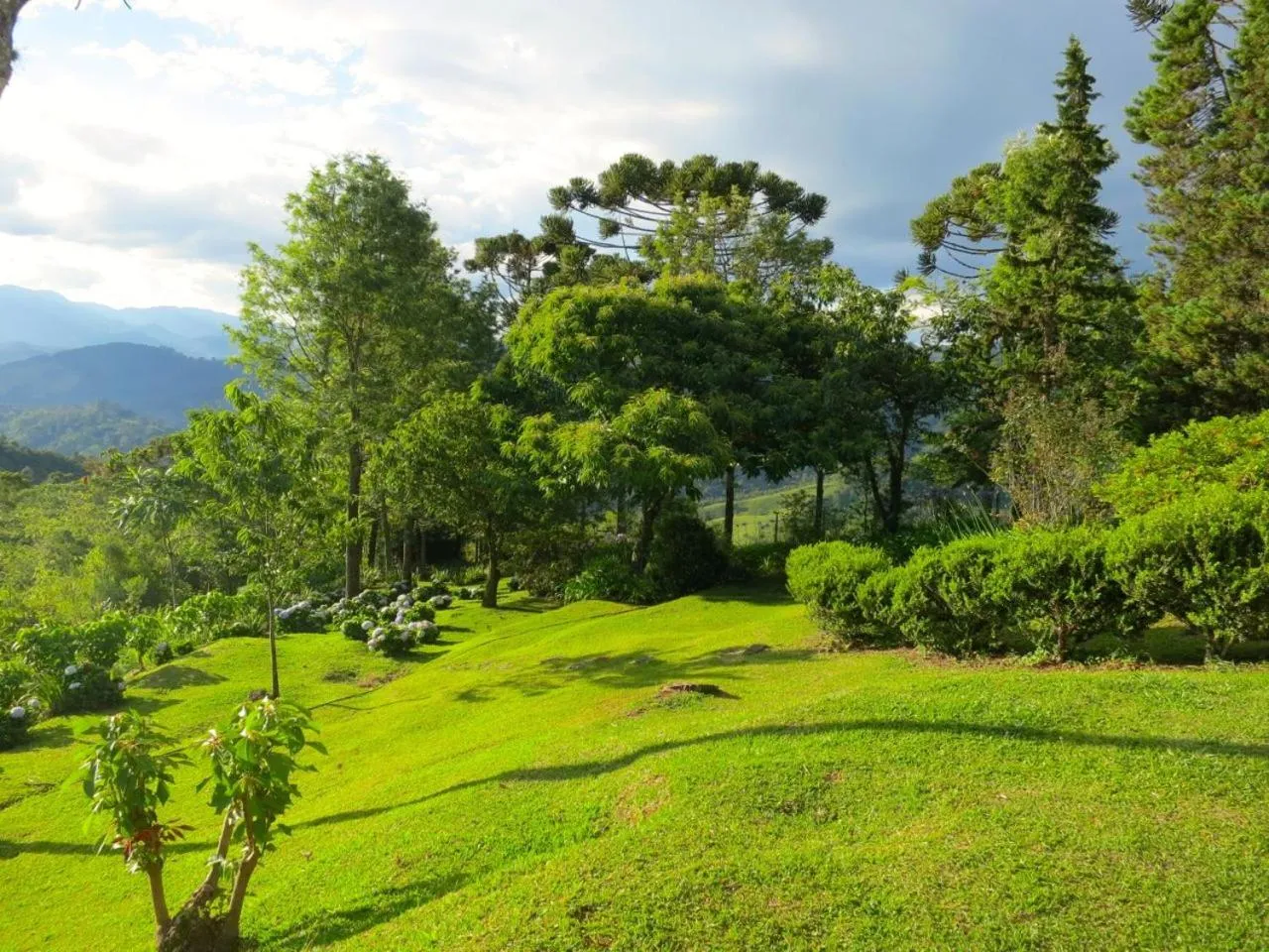 Garden in Sítio Paradiso