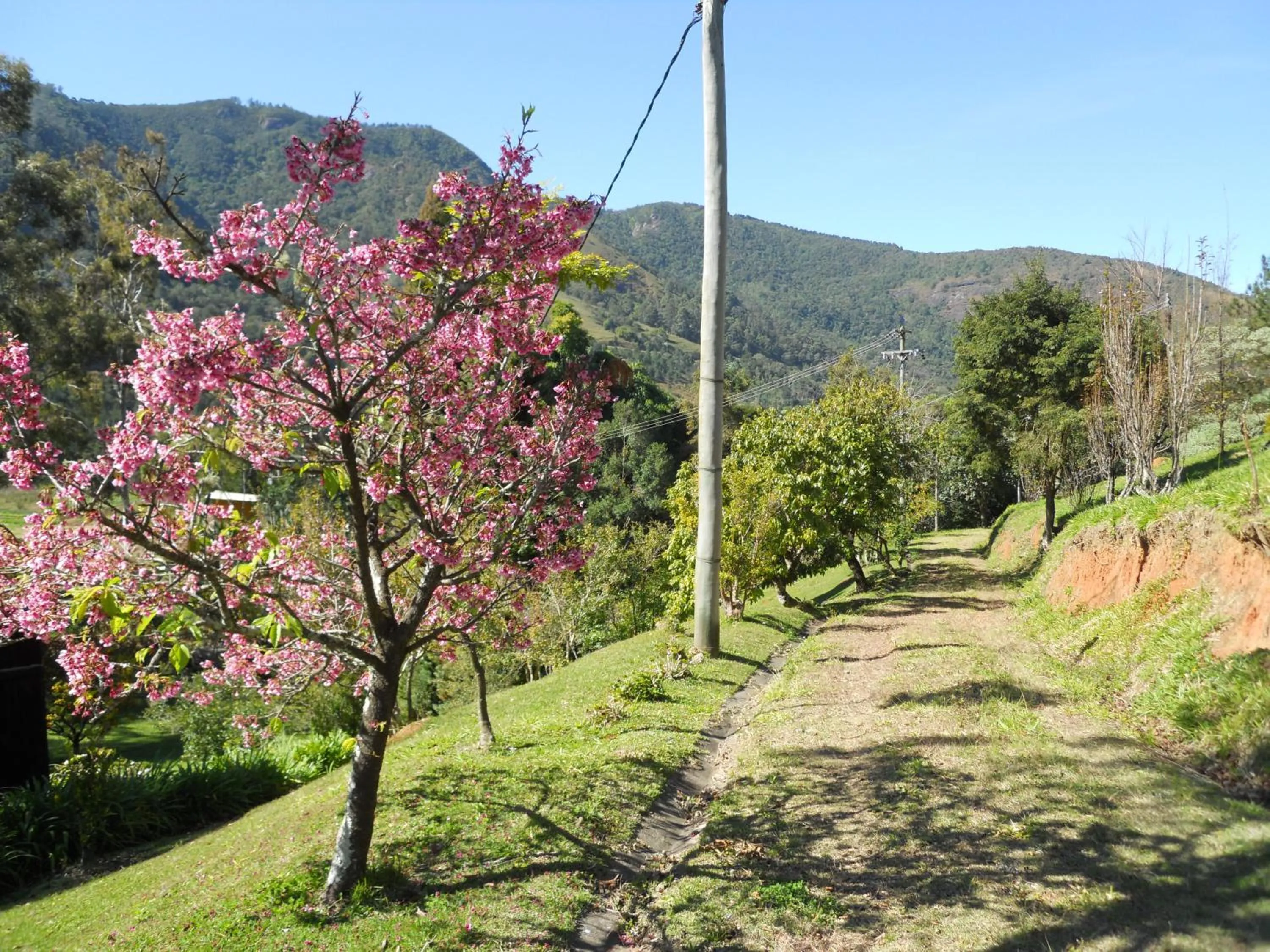 Garden in Sítio Paradiso