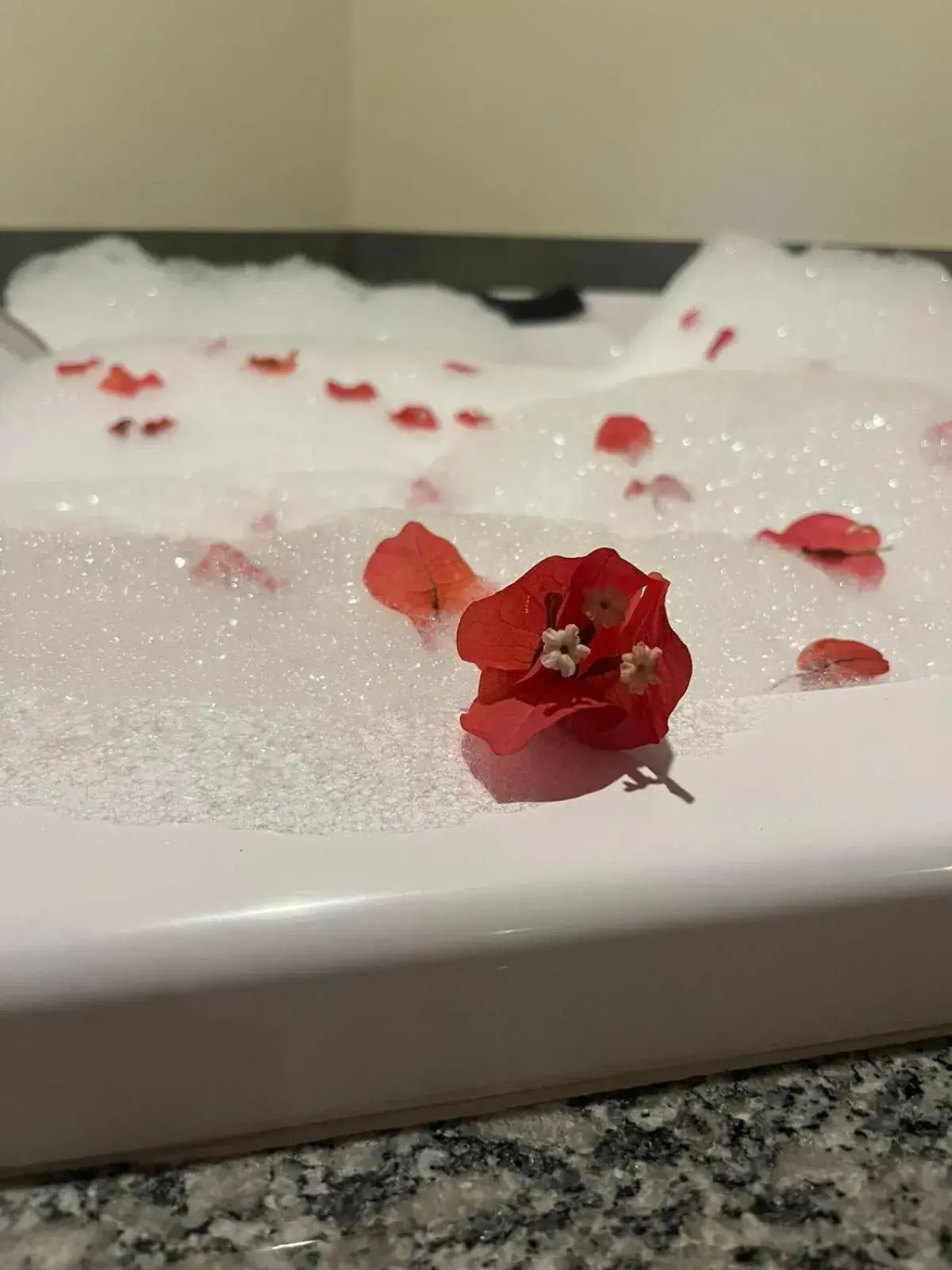 Suite with Spa Bath in Pousada Flor de Pequi Suite with Spa Bath in Pousada Flor de Pequi