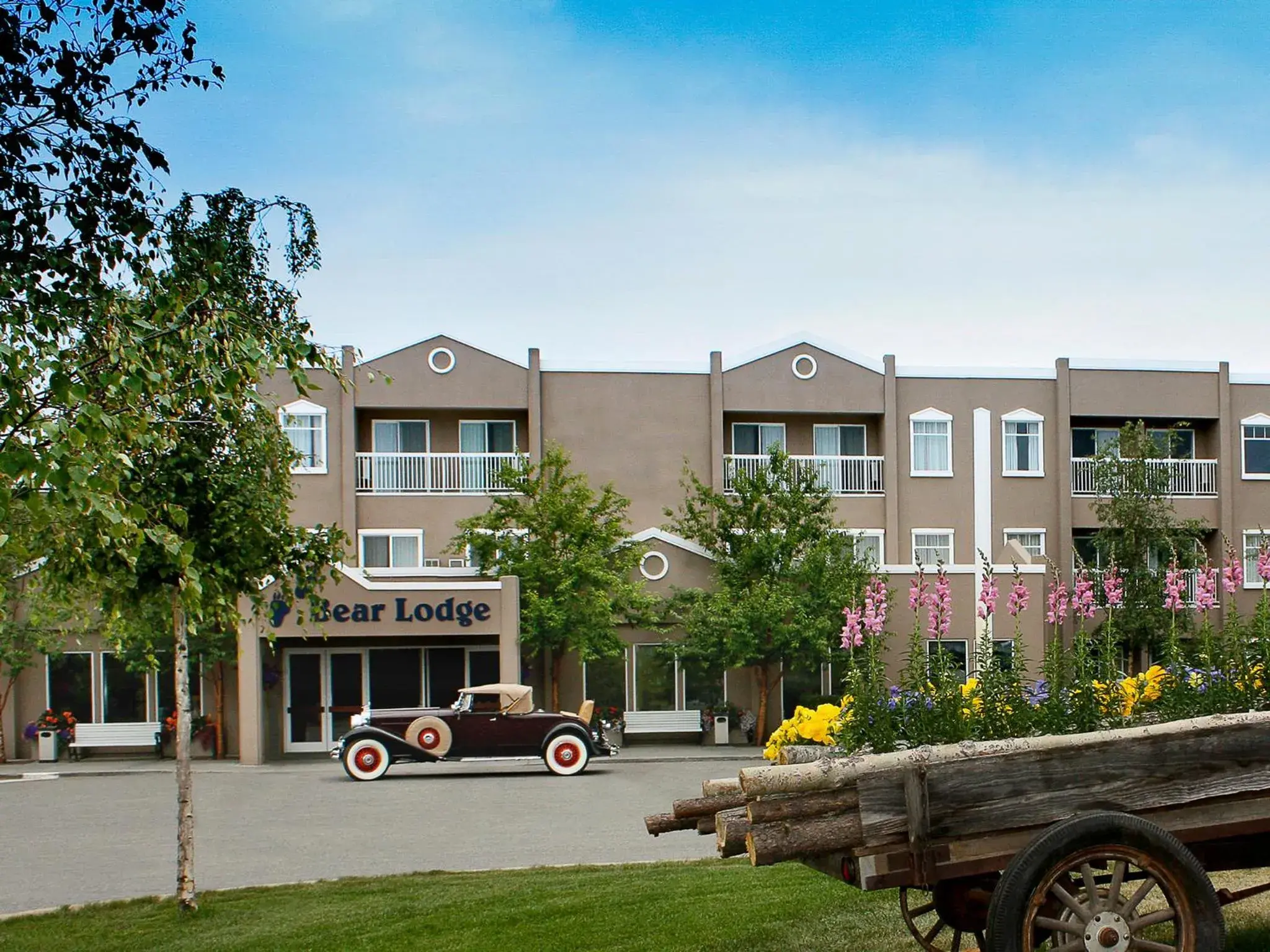 Bear Lodge Bear Lodge