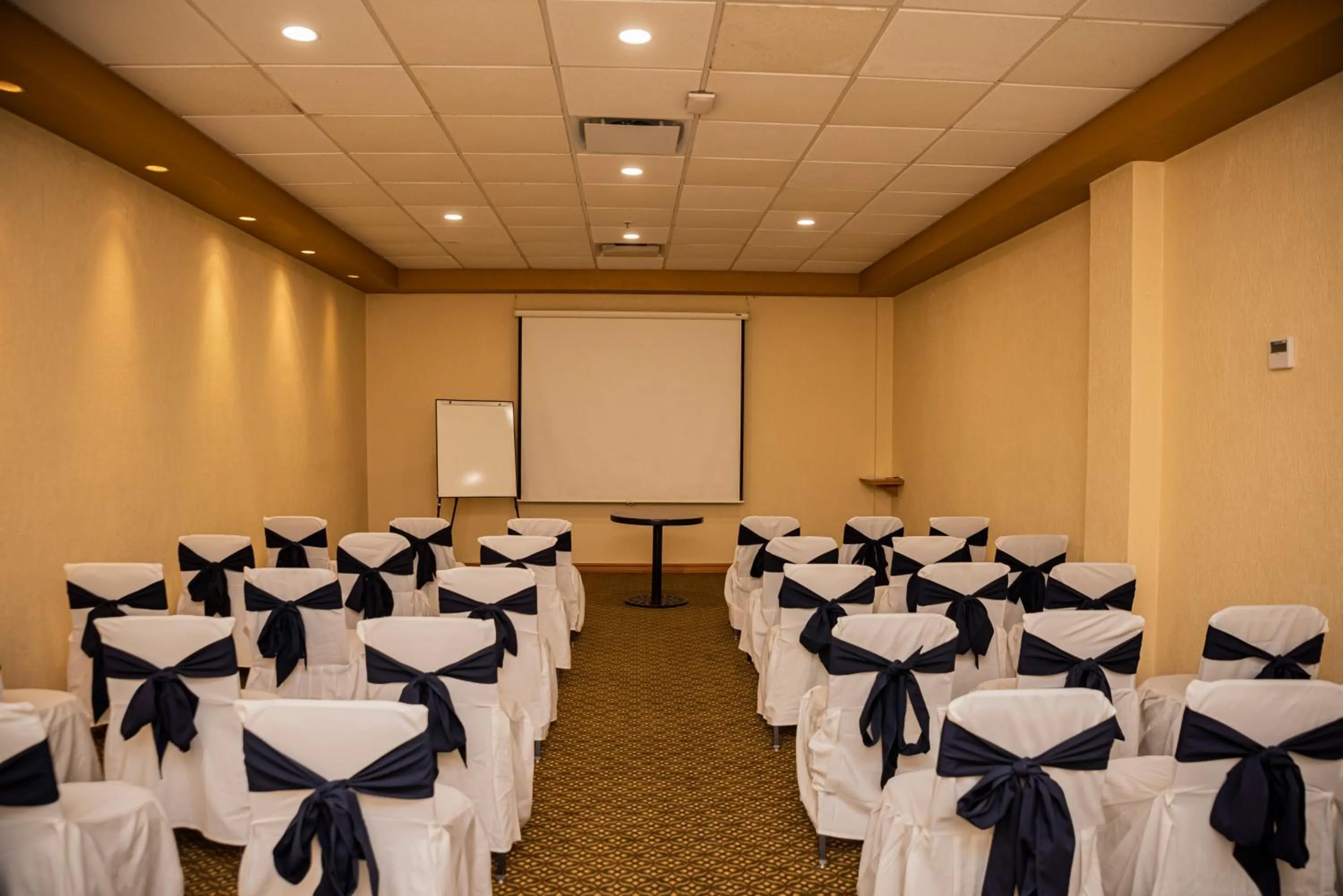 Business facilities in Holiday Inn La Piedad by IHG