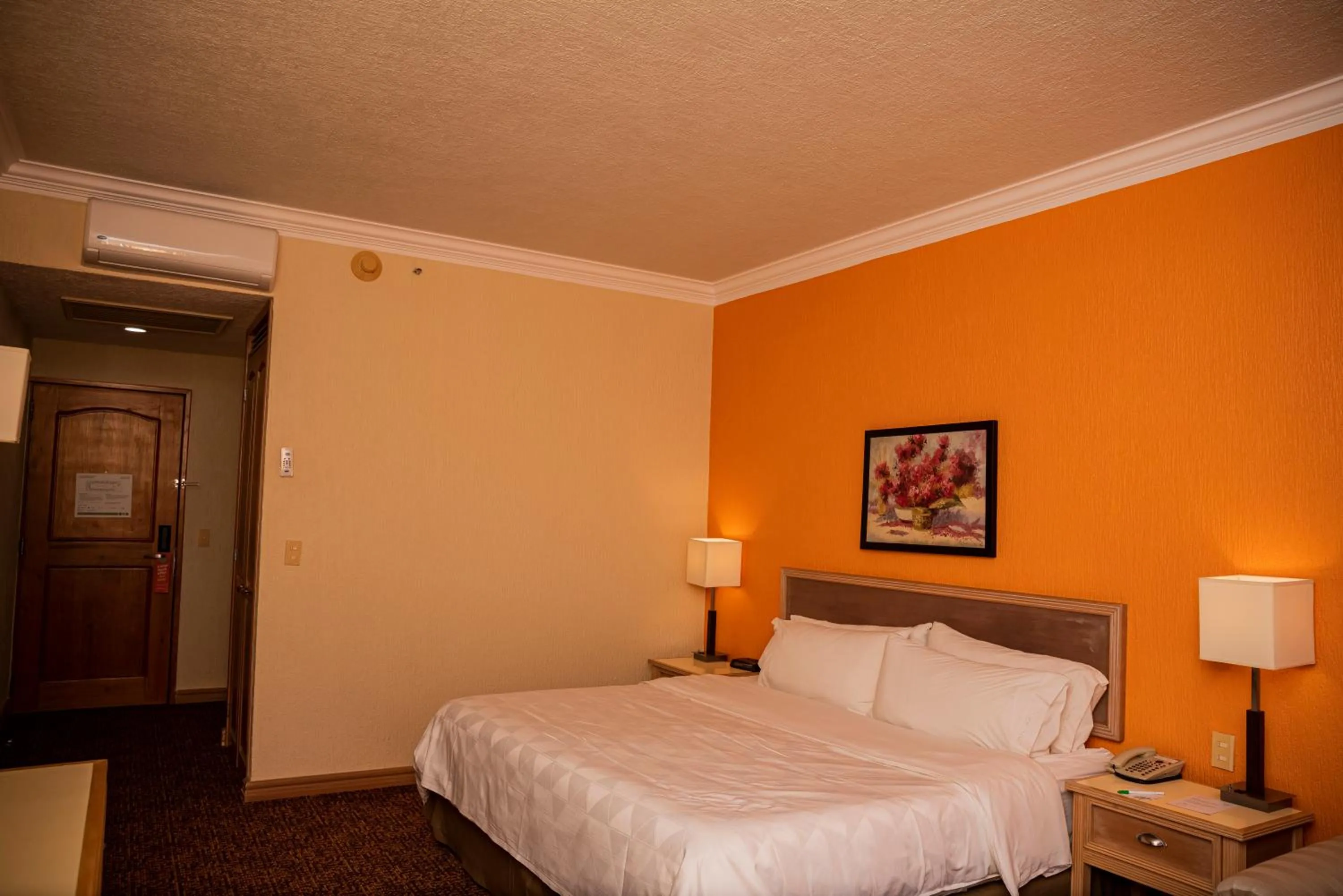 acessibility, Bed in Holiday Inn La Piedad by IHG