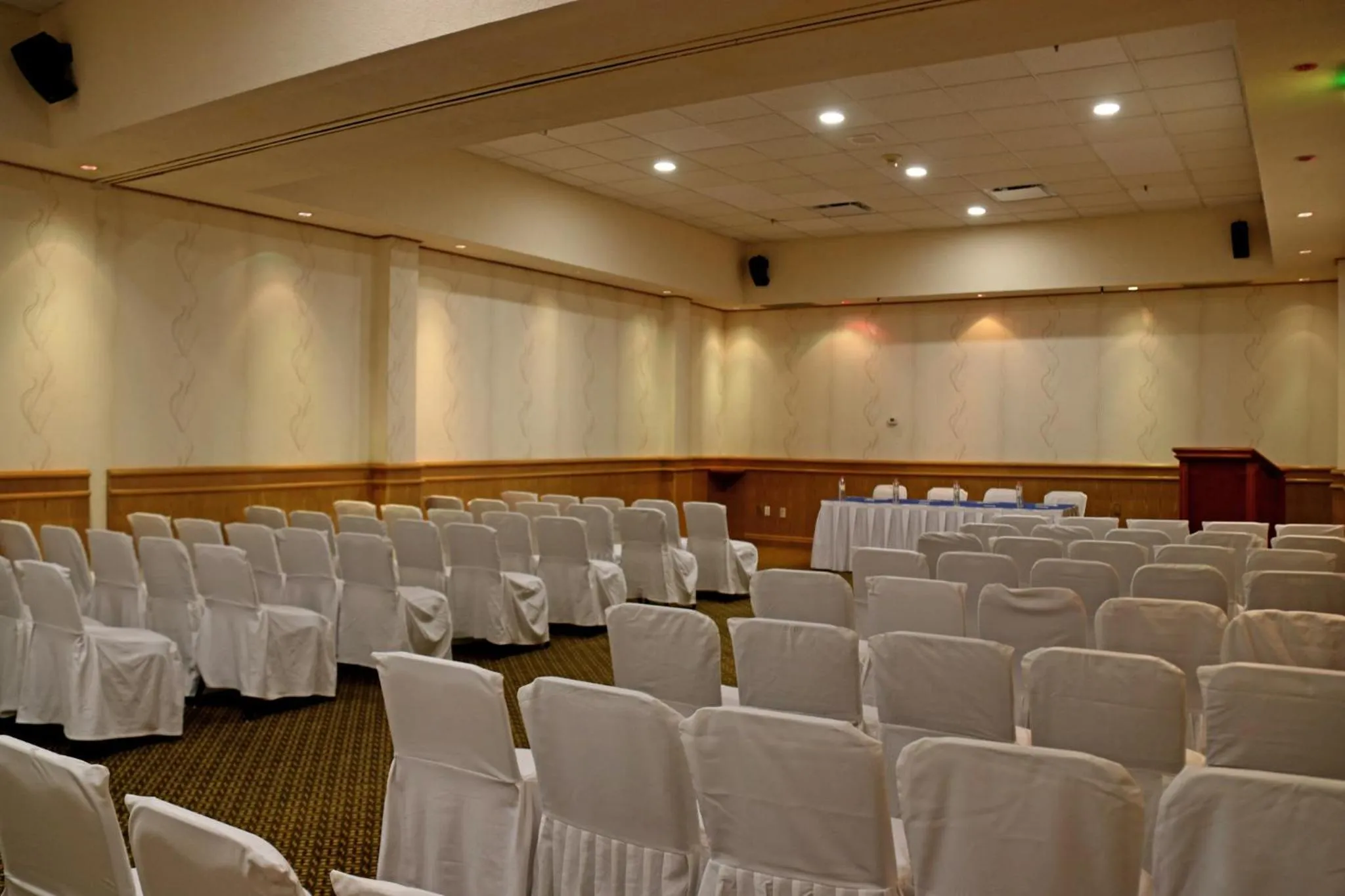 Meeting/conference room in Holiday Inn La Piedad by IHG
