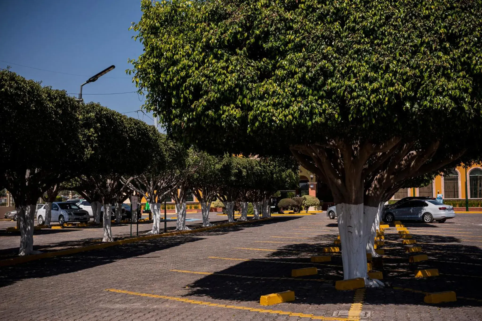 Property building in Holiday Inn La Piedad by IHG Property building in Holiday Inn La Piedad by IHG