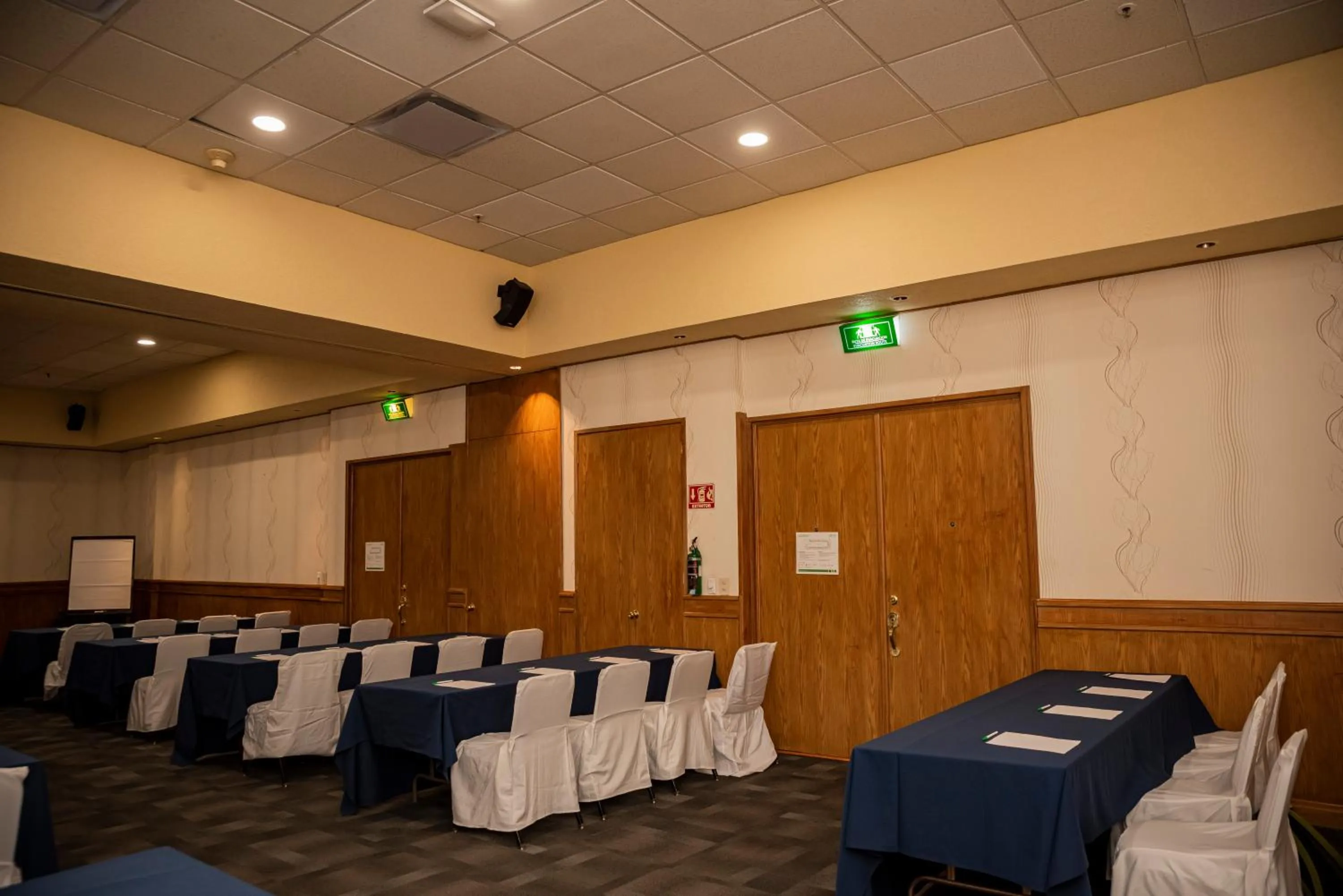 Meeting/conference room in Holiday Inn La Piedad by IHG