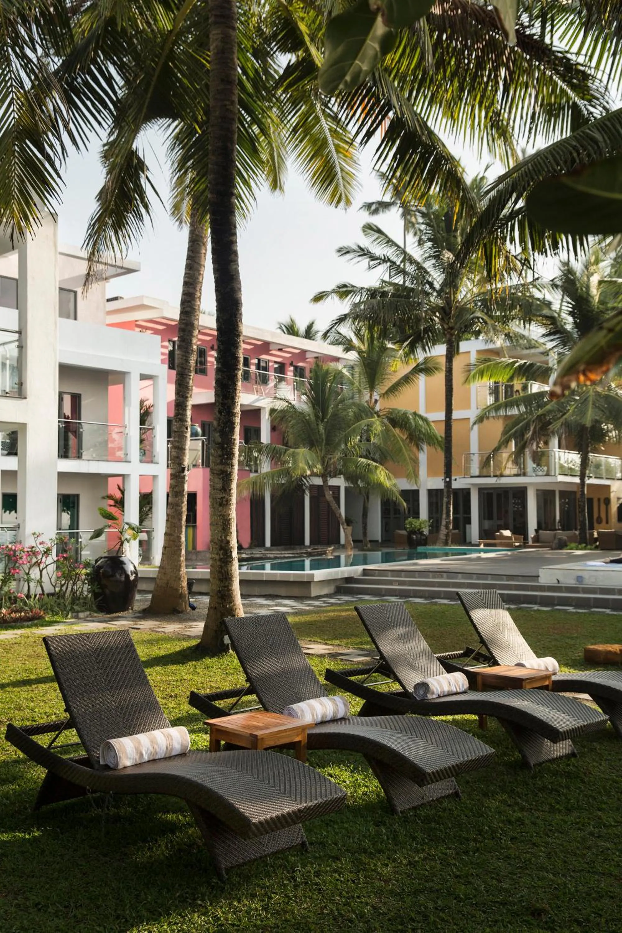 Garden in Owl and the Pussycat Hotel & Restaurant