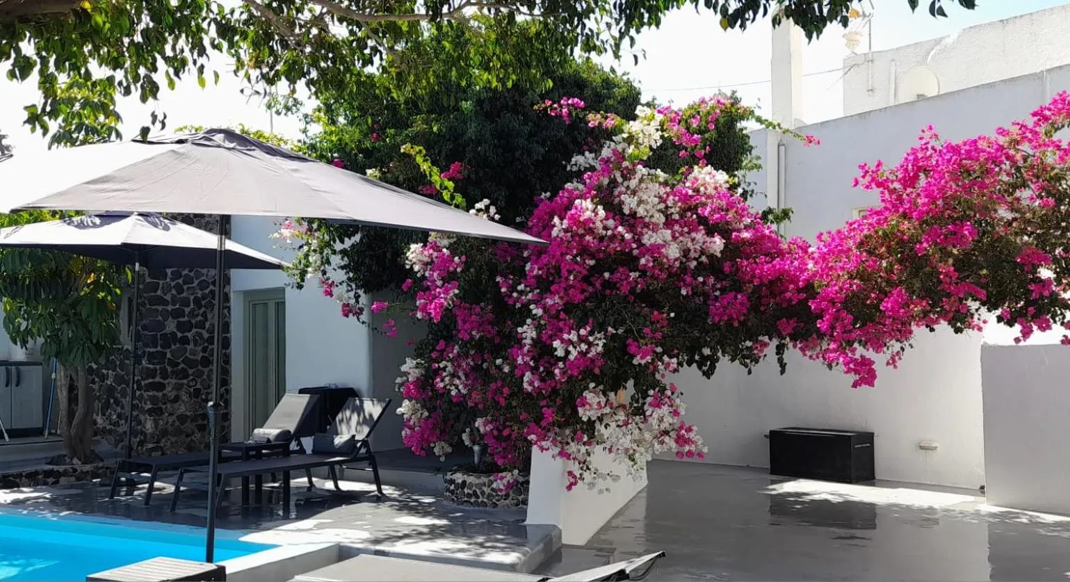 Garden view in Villa LuxL