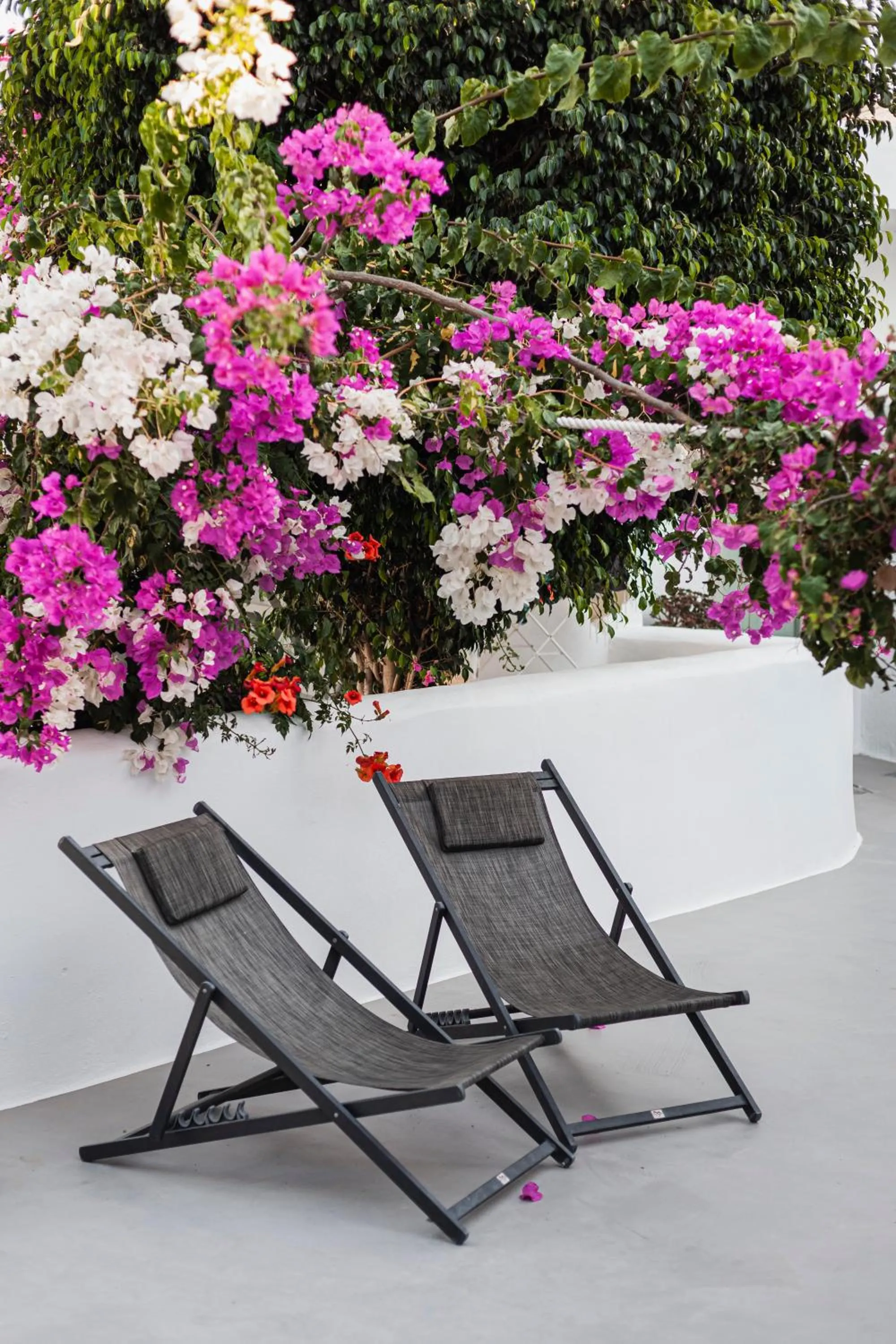 Patio in Villa LuxL