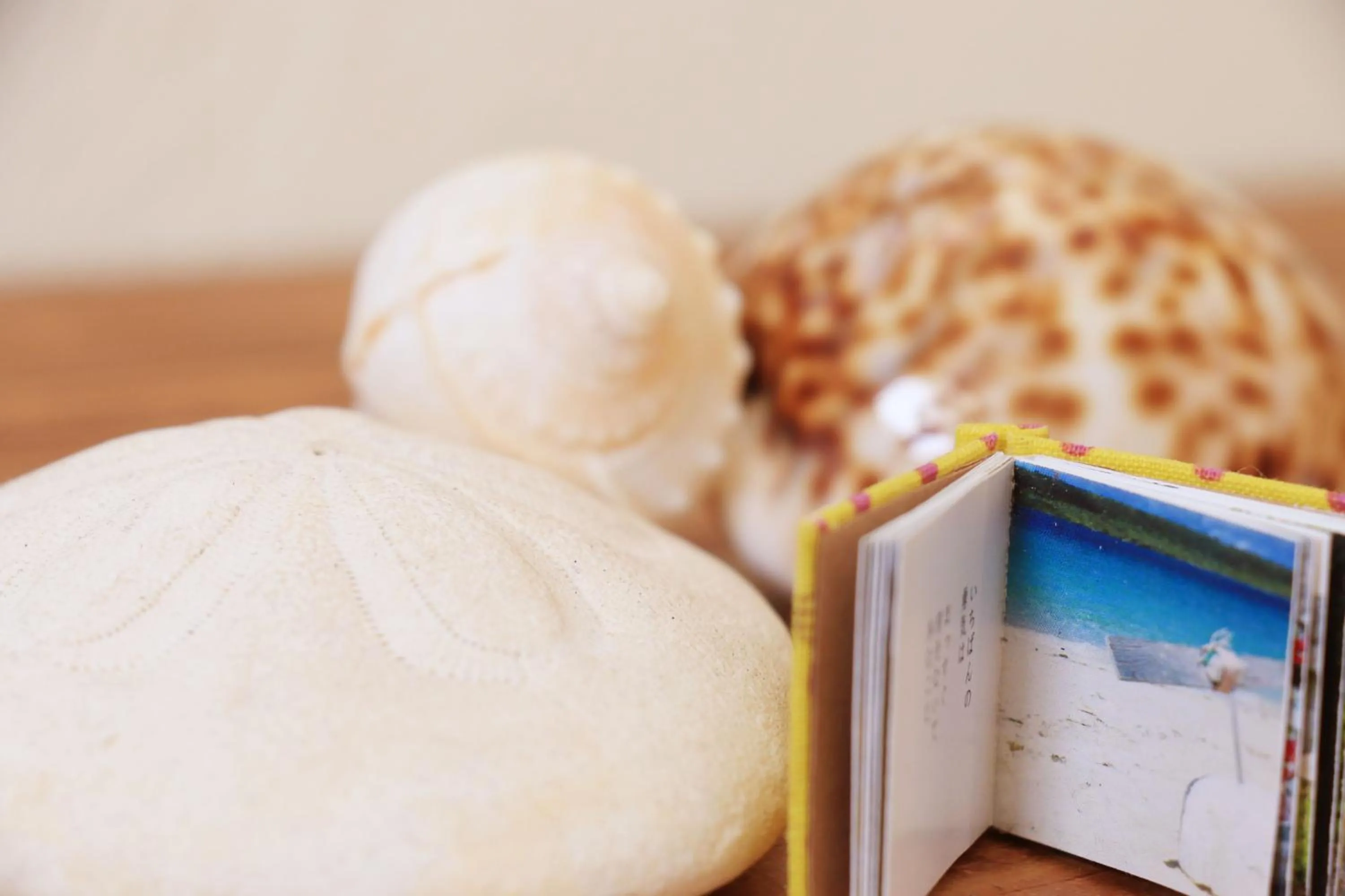 Decorative detail in Tanegashima Minshuku Yuyu