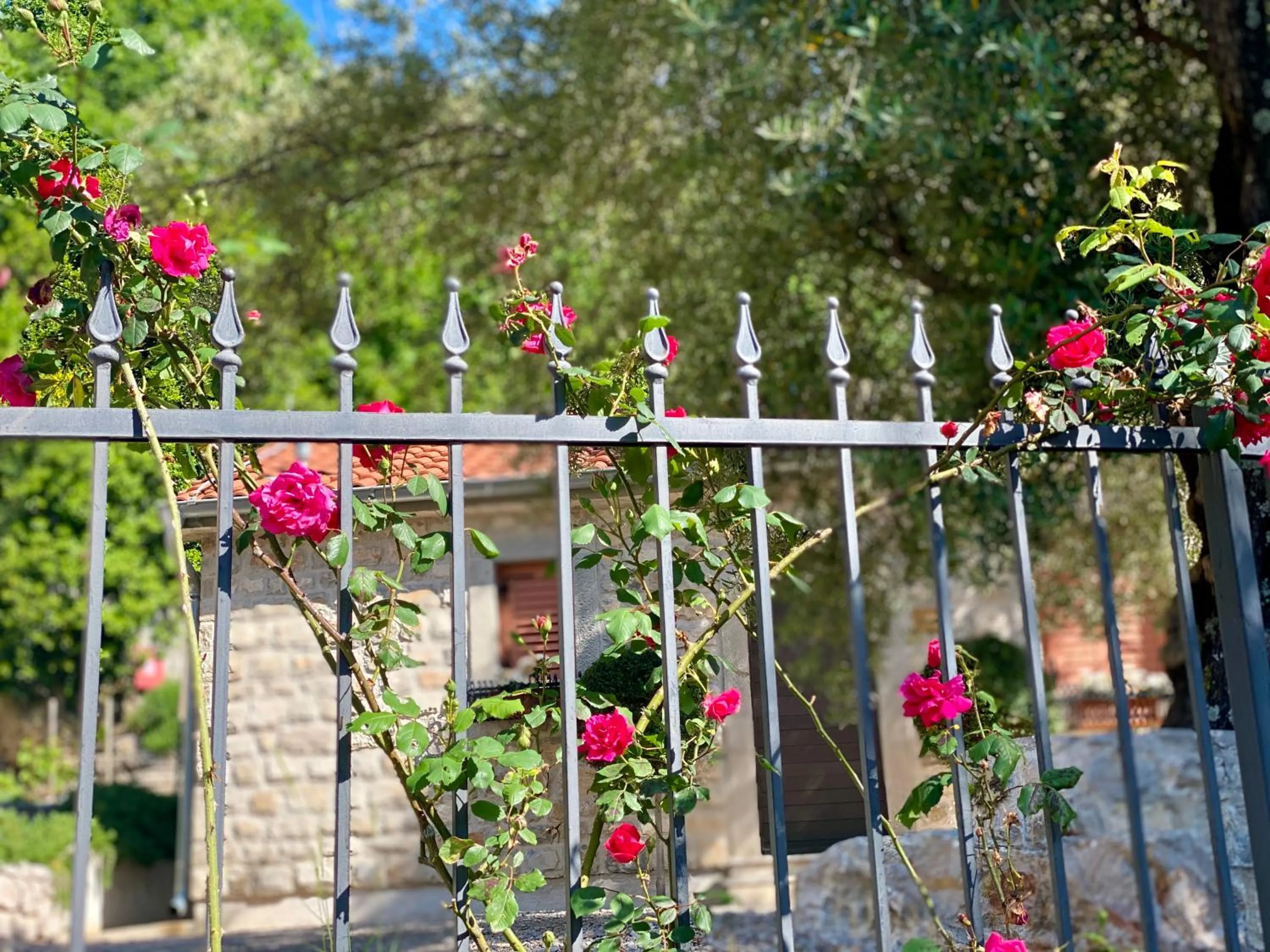 Boutique Hotel Malo Selo