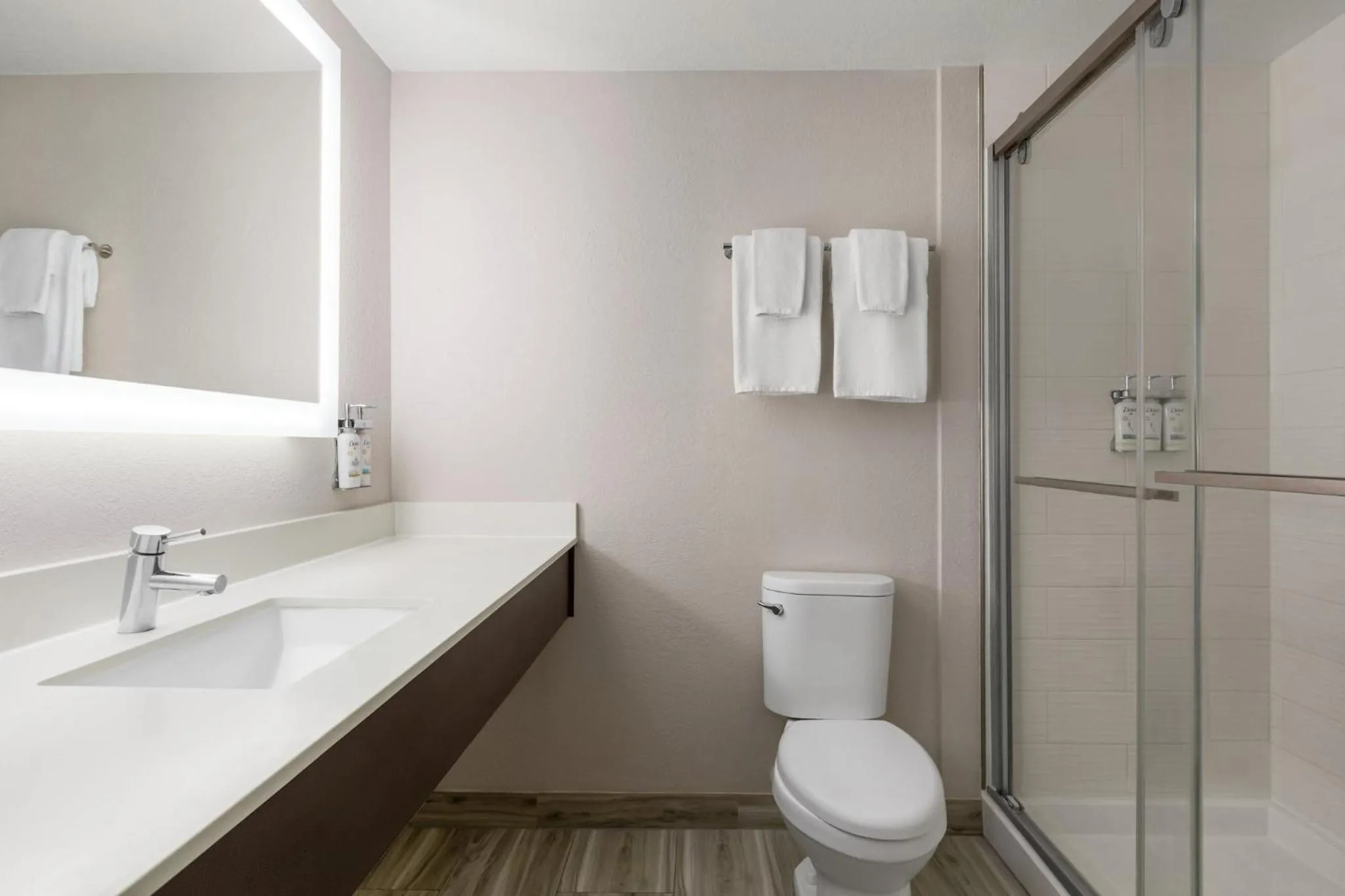 Bathroom in Holiday Inn Express Hotel & Suites Live Oak by IHG