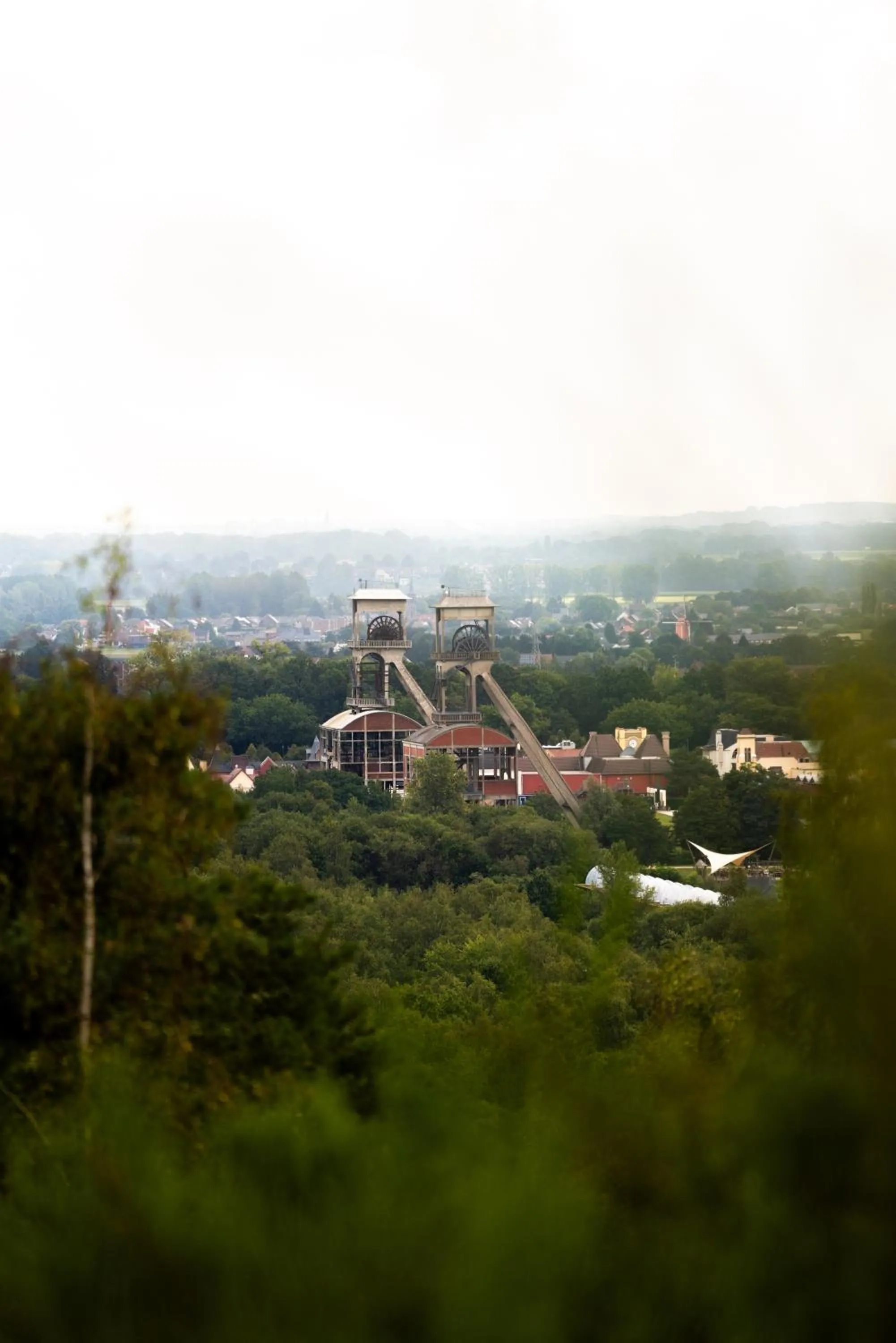 Natural landscape in Porta Cité