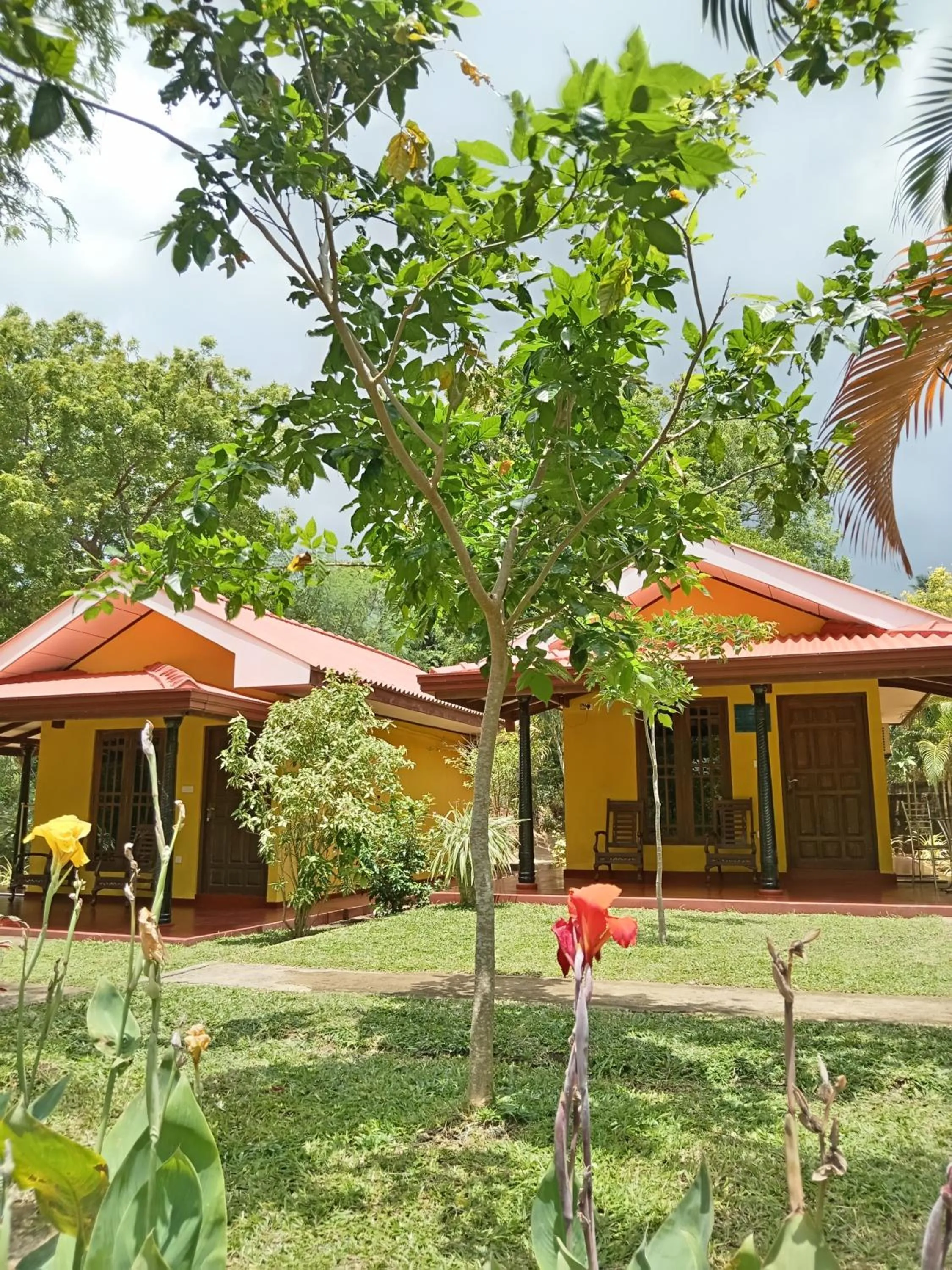 Amazon Cabanas