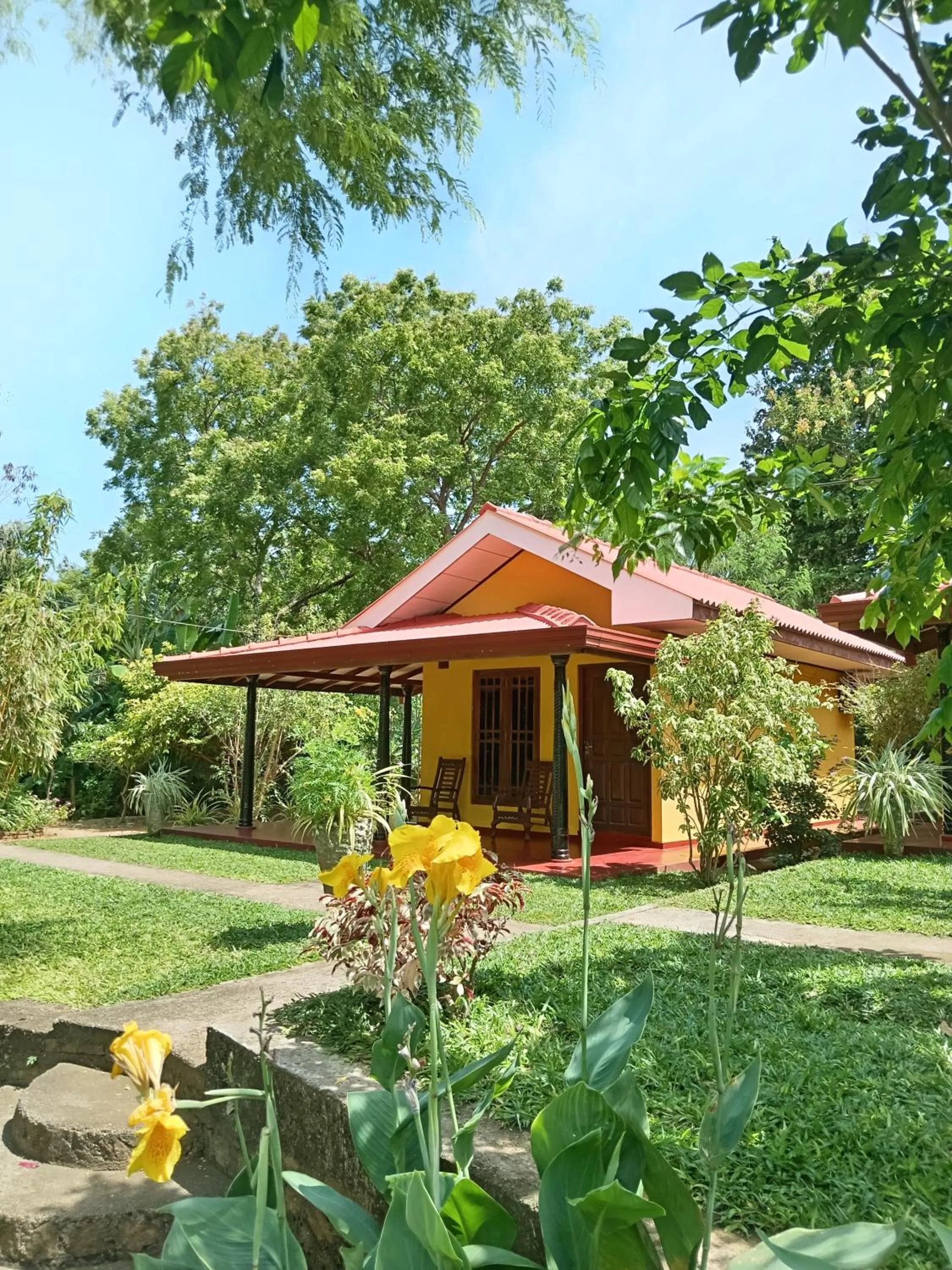 Amazon Cabanas