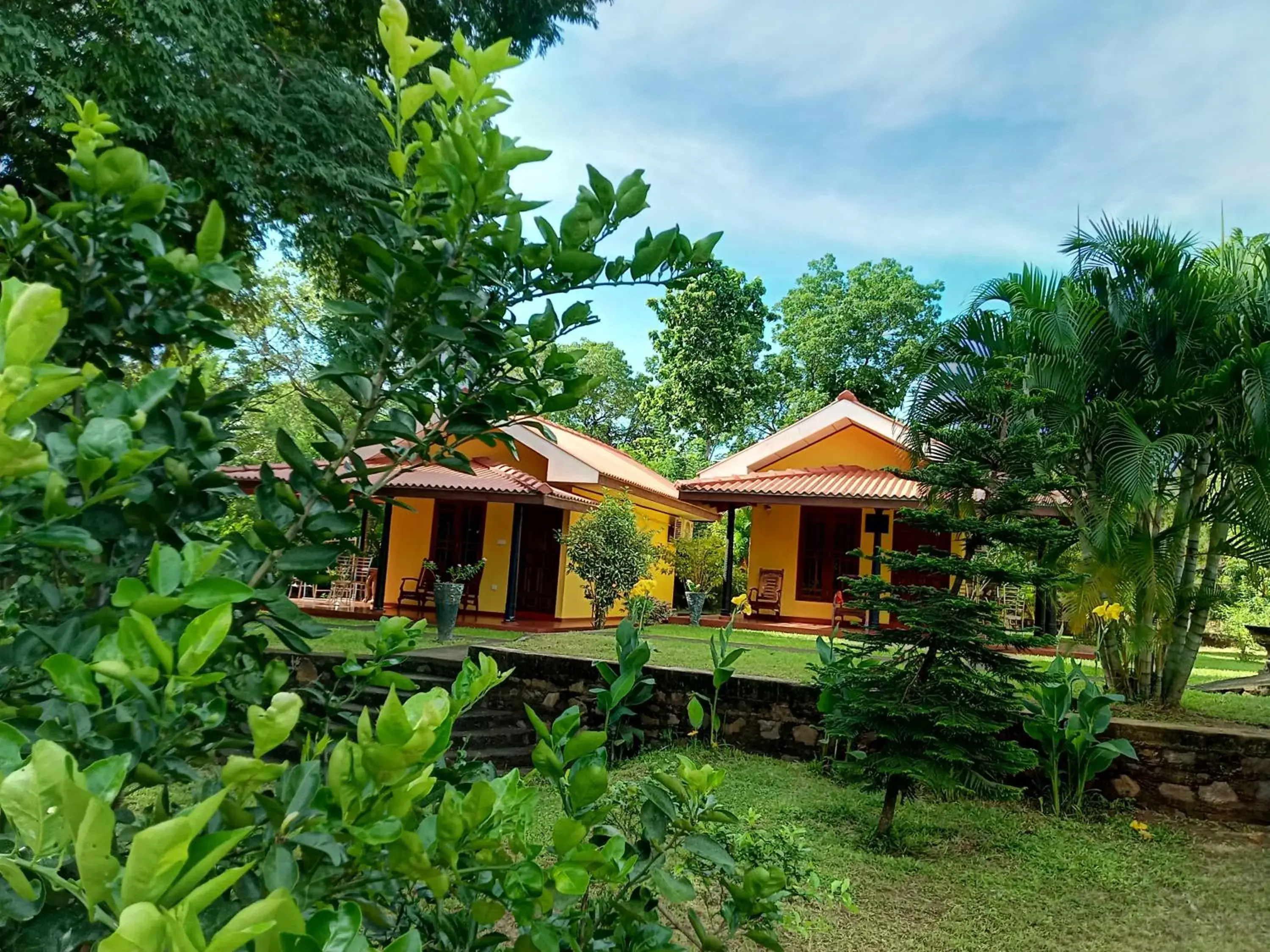 Amazon Cabanas Amazon Cabanas