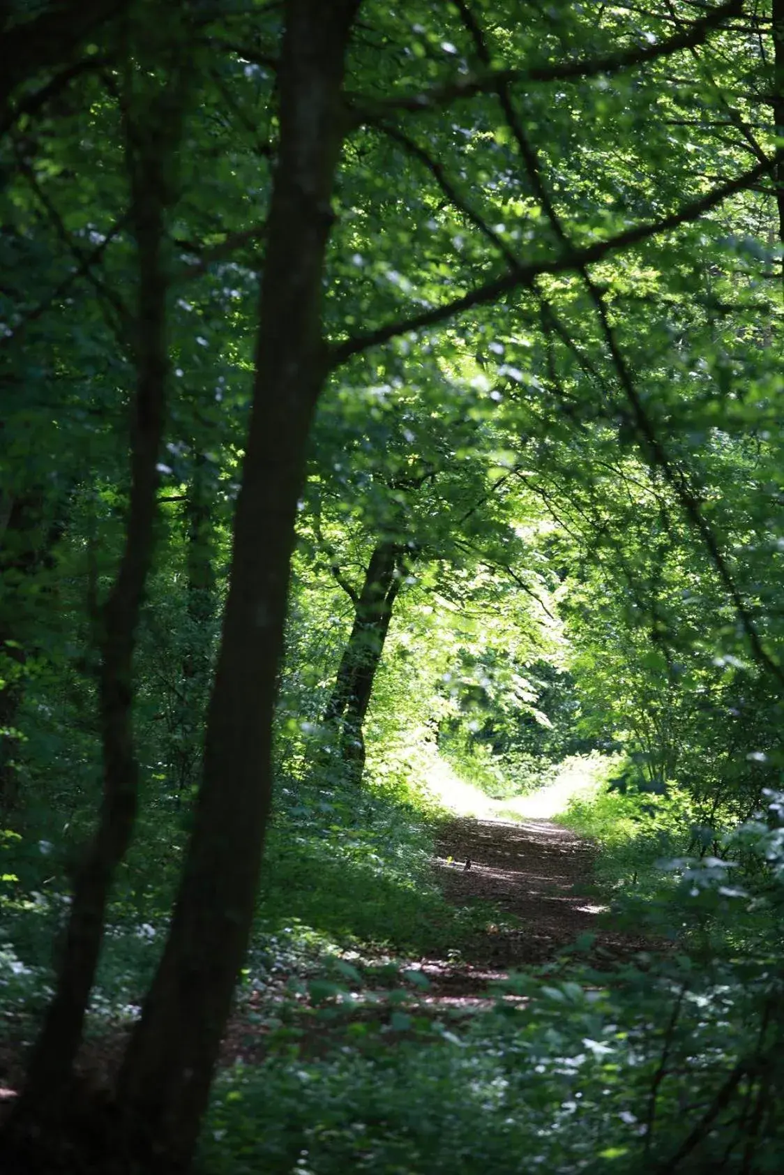 View (from property/room) in The Seven Hotel View (from property/room) in The Seven Hotel