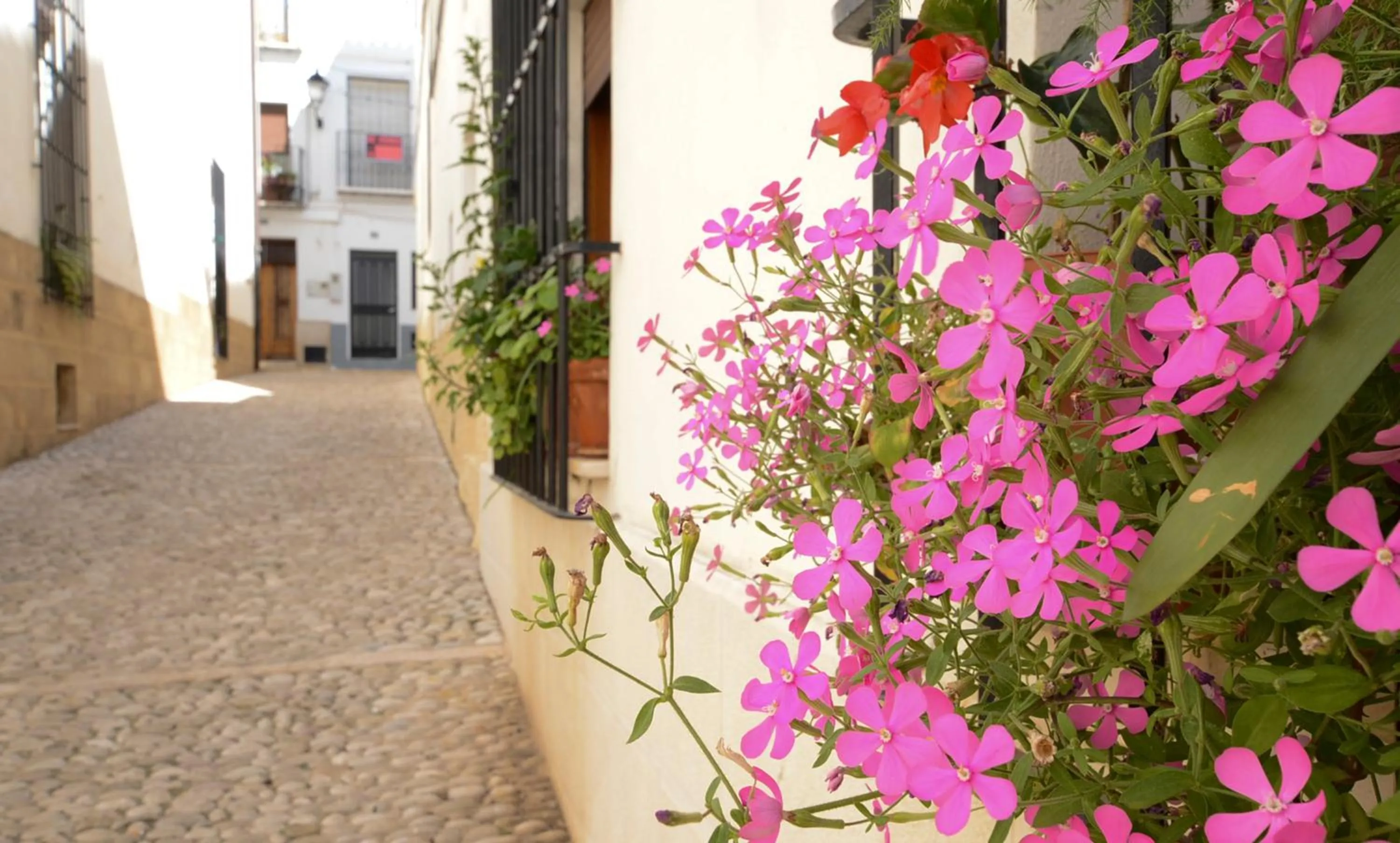 Nearby landmark in La Fonda Benissa, Grupo Terra de Mar, alojamientos con encanto
