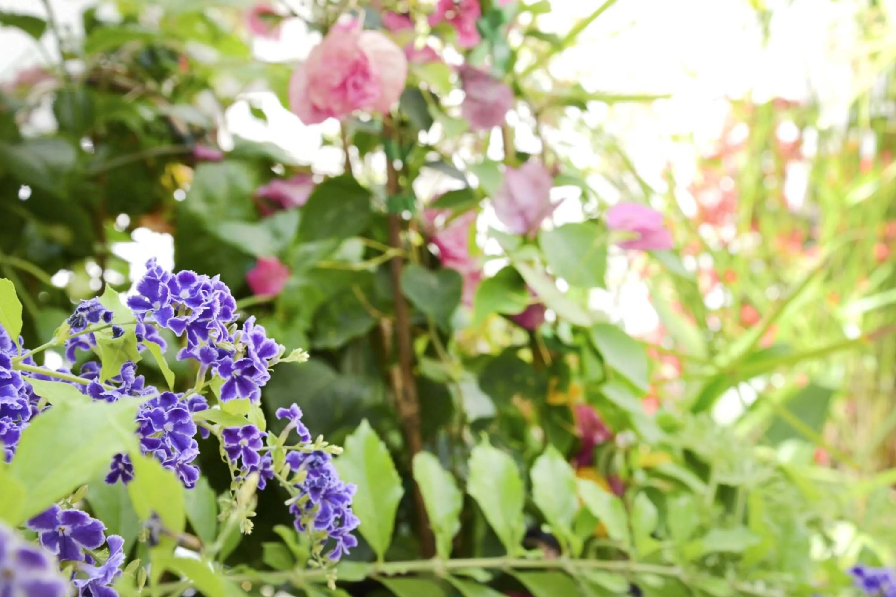 Bedroom in La Fonda Benissa, Grupo Terra de Mar, alojamientos con encanto