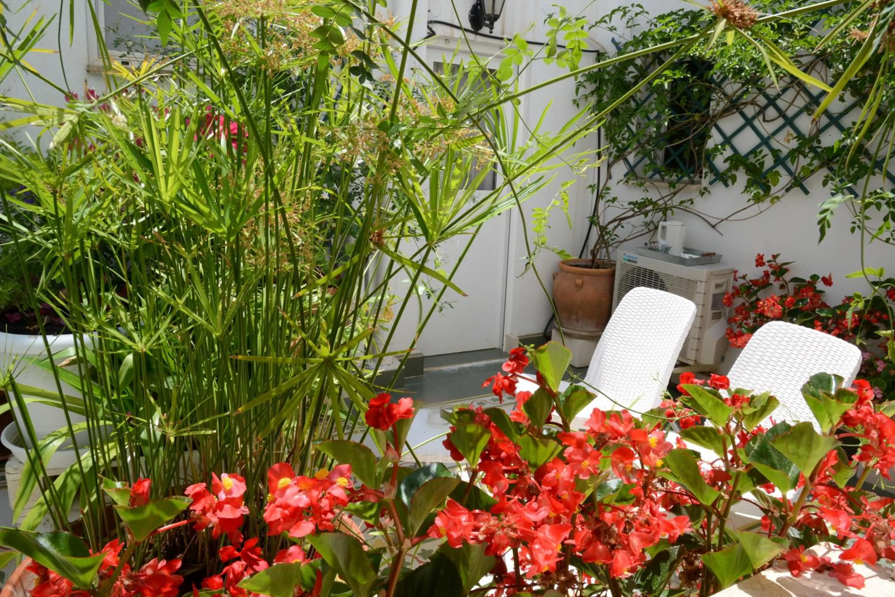 Patio in La Fonda Benissa, Grupo Terra de Mar, alojamientos con encanto