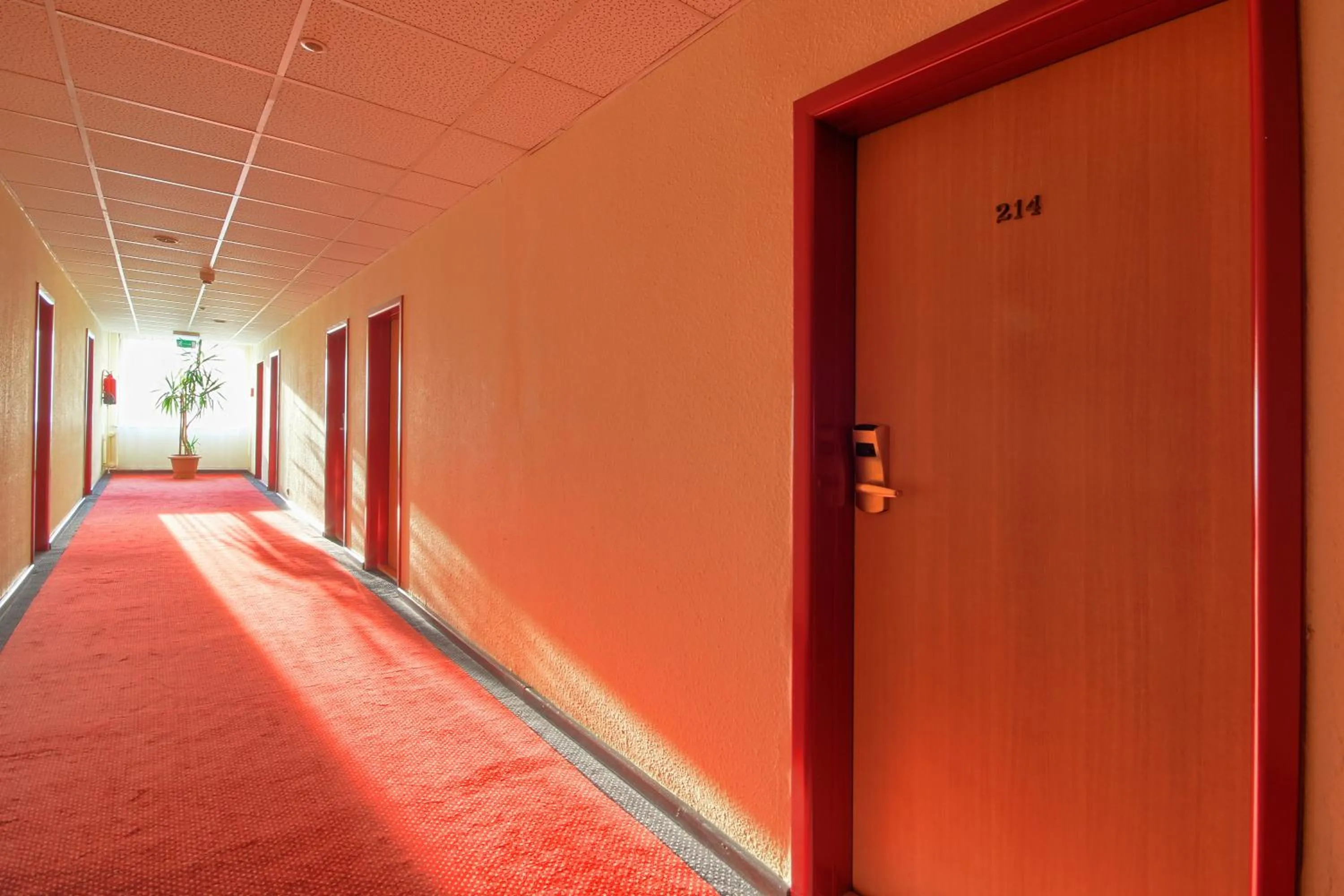 Day in Hotel Festival