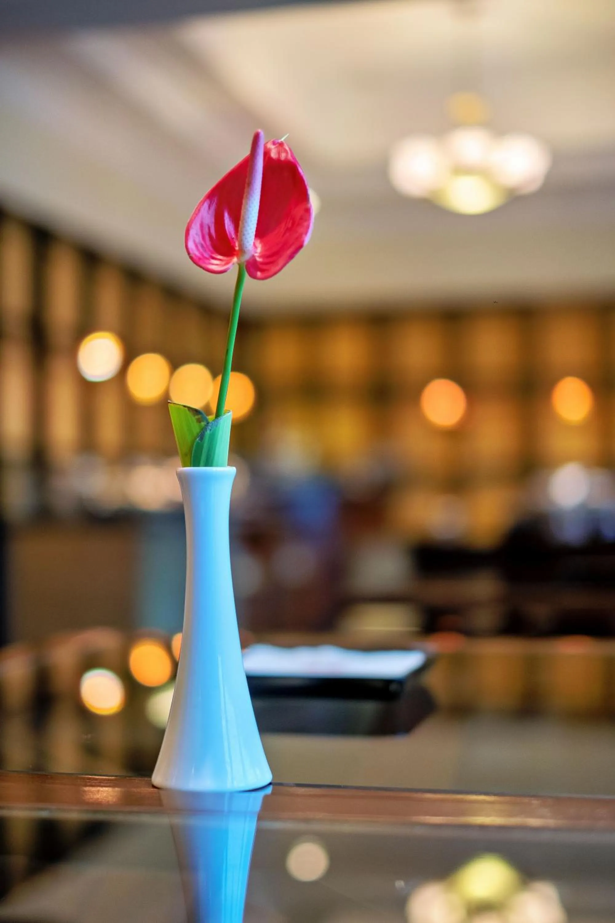 Lounge or bar in Waterfront Cebu City Hotel & Casino