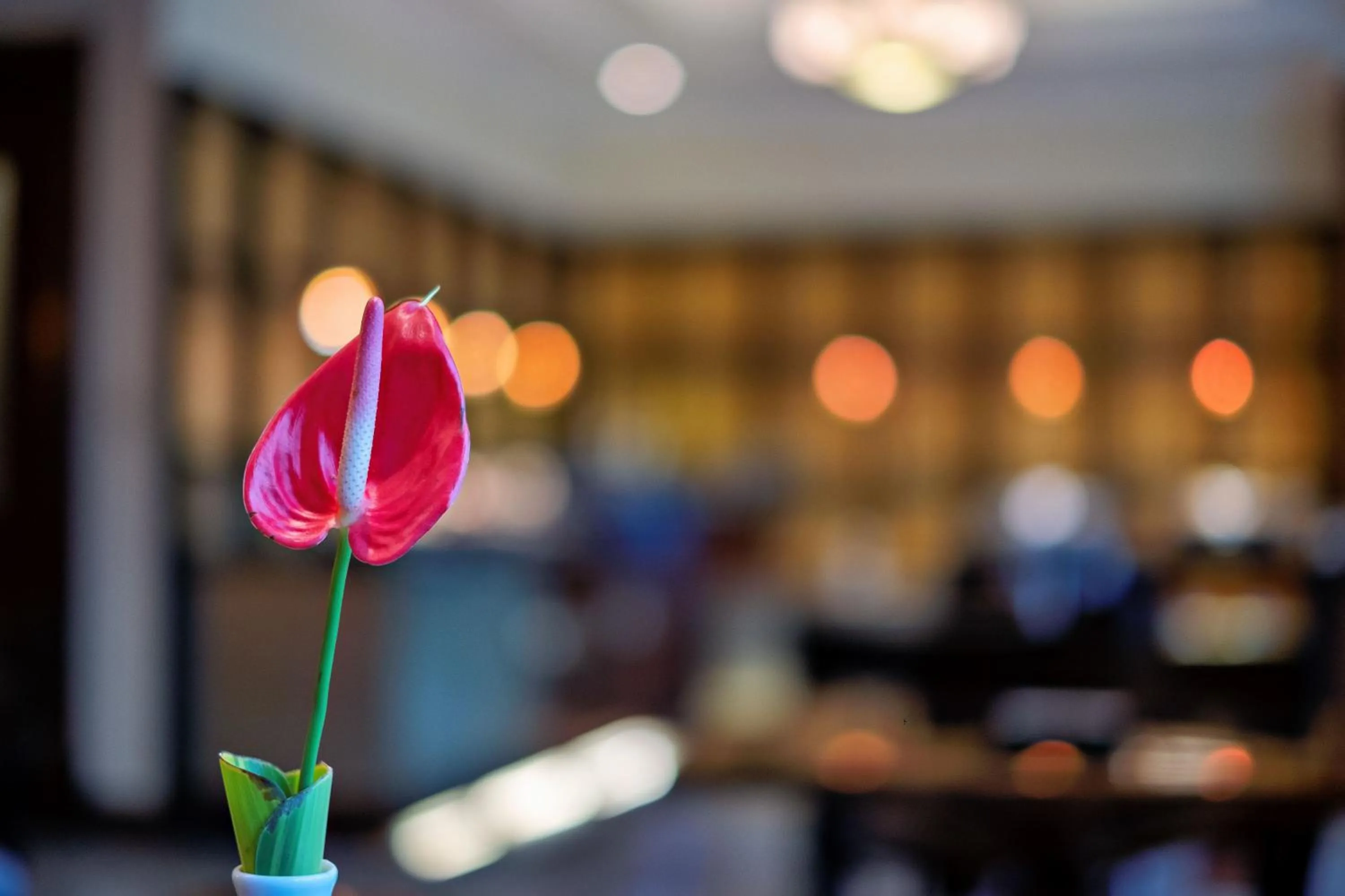 Lounge or bar in Waterfront Cebu City Hotel & Casino