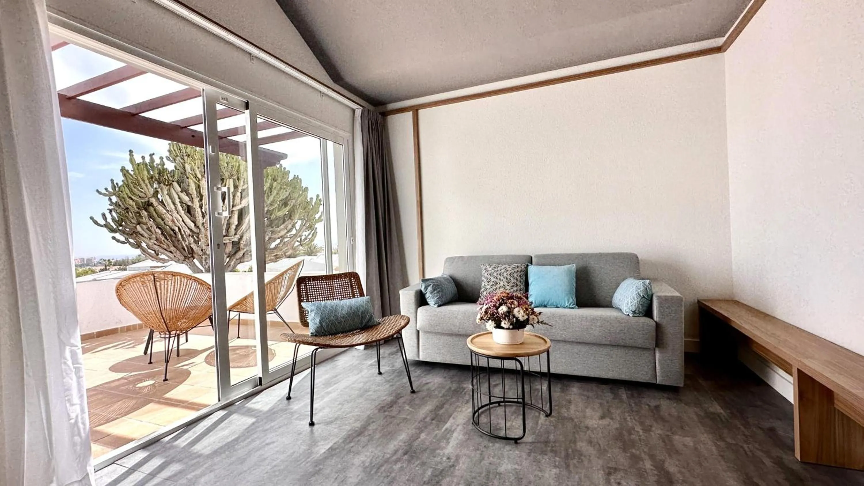 Photo of the whole room in Caleta Dorada