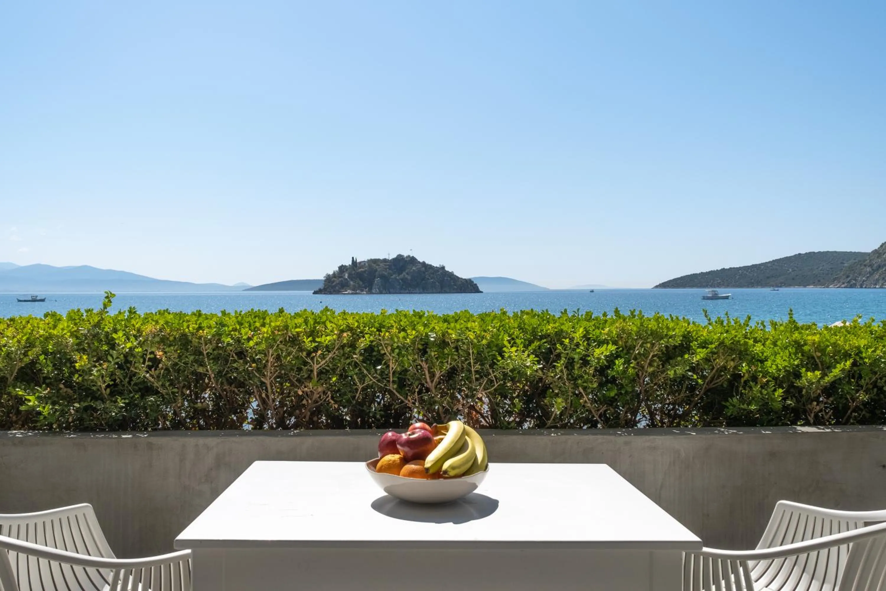 Day in Nelly's Apartments