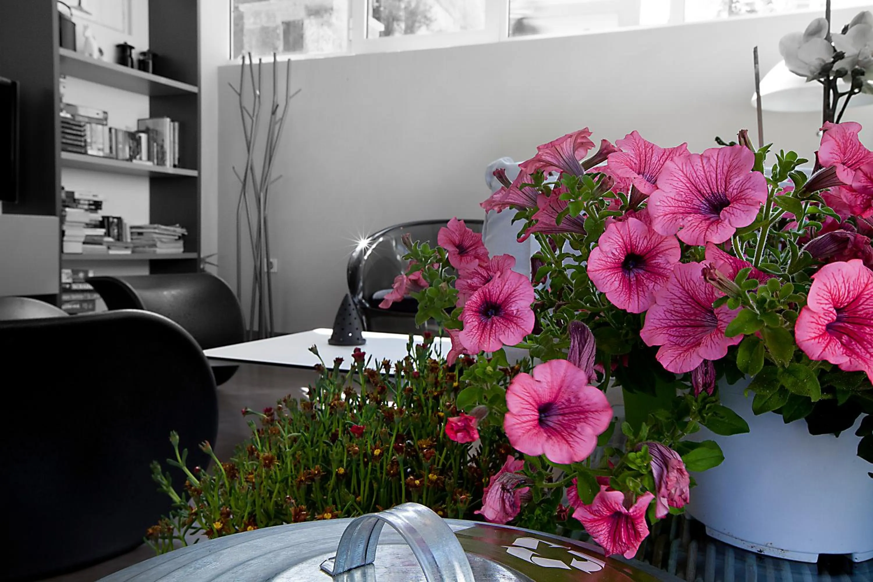 Living room in Nelly's Apartments