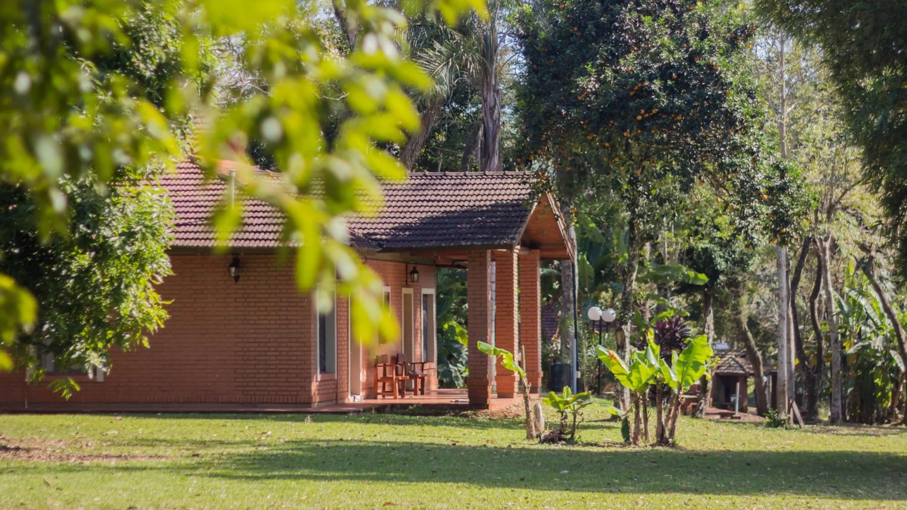 Garden view in Complejo Americano